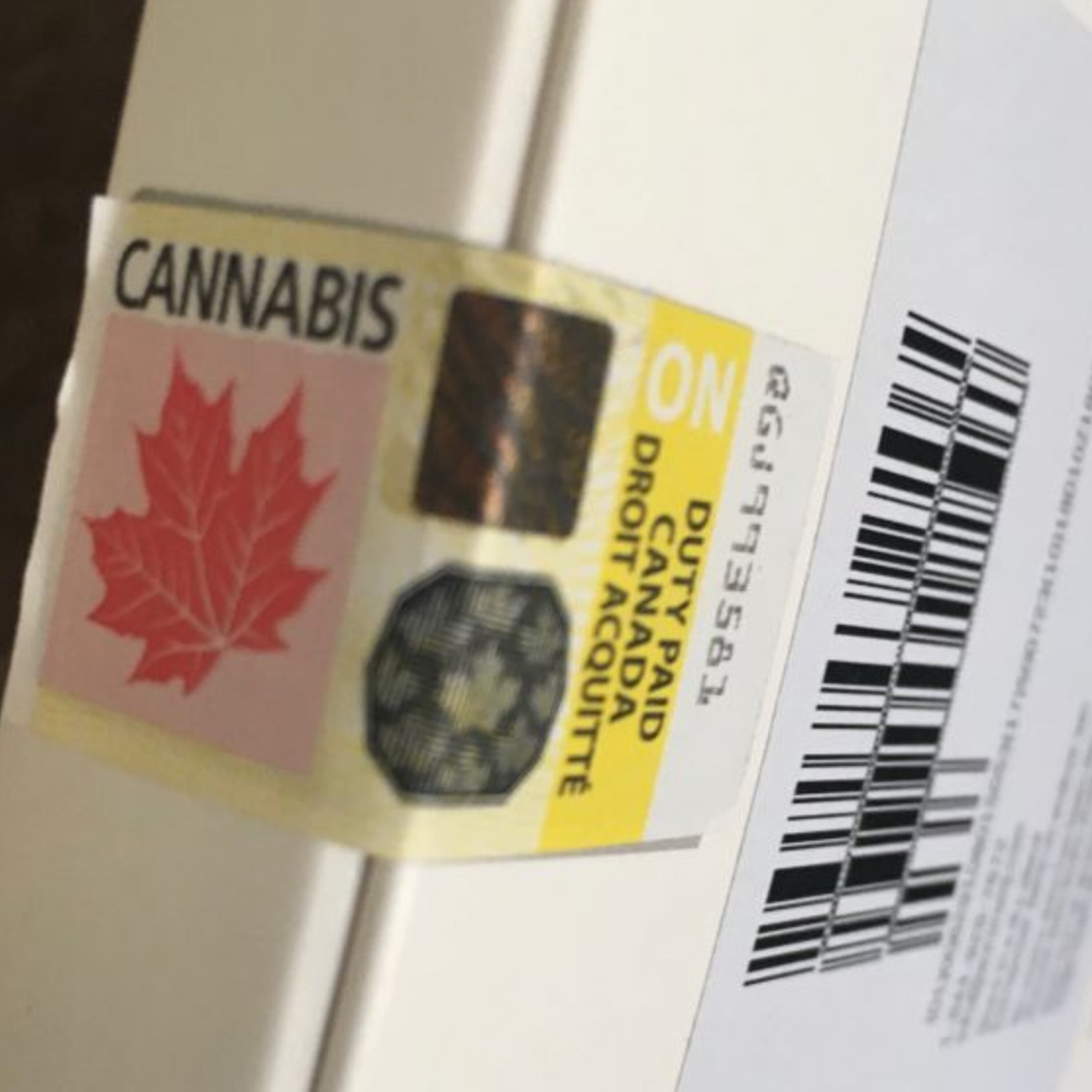 Cannabis Cafes And Why Valentines Day Should Be June 9th