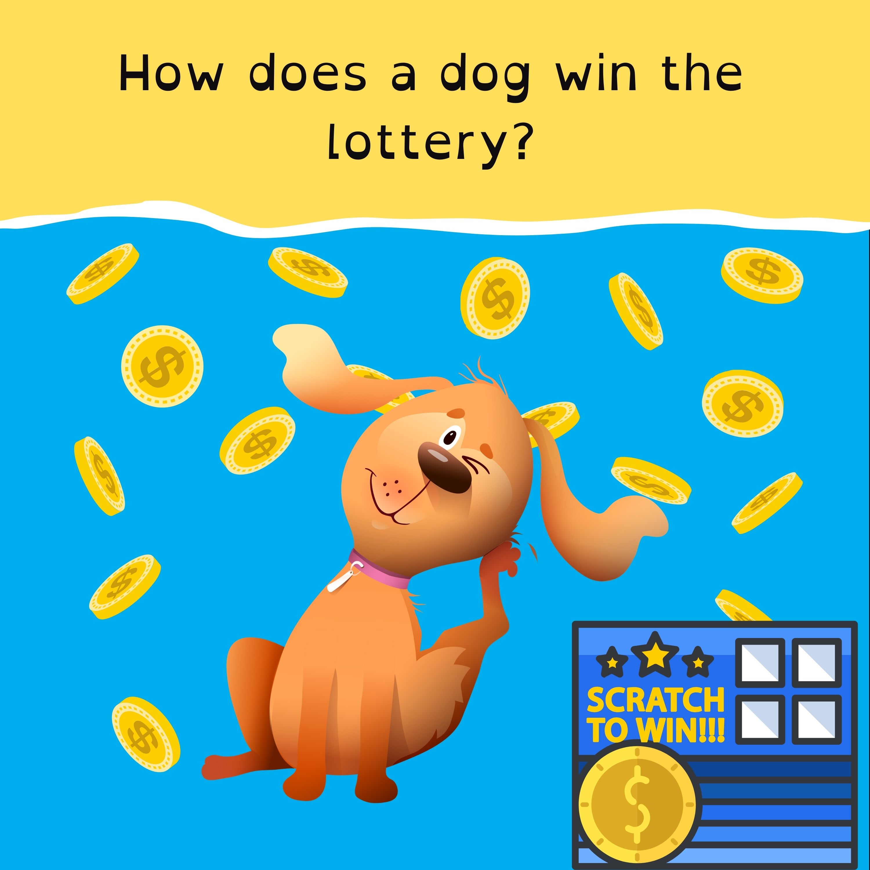 Mars mission needs volunteers; Basketball’s Bryce the MVP; a star munching black hole discovered; and the dog that won the lottery.