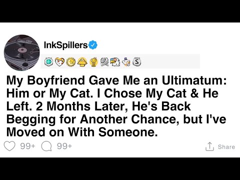 Episode: My Boyfriend Gave Me an Ultimatum - Him or My Cat. I Chose My Cat episode artwork