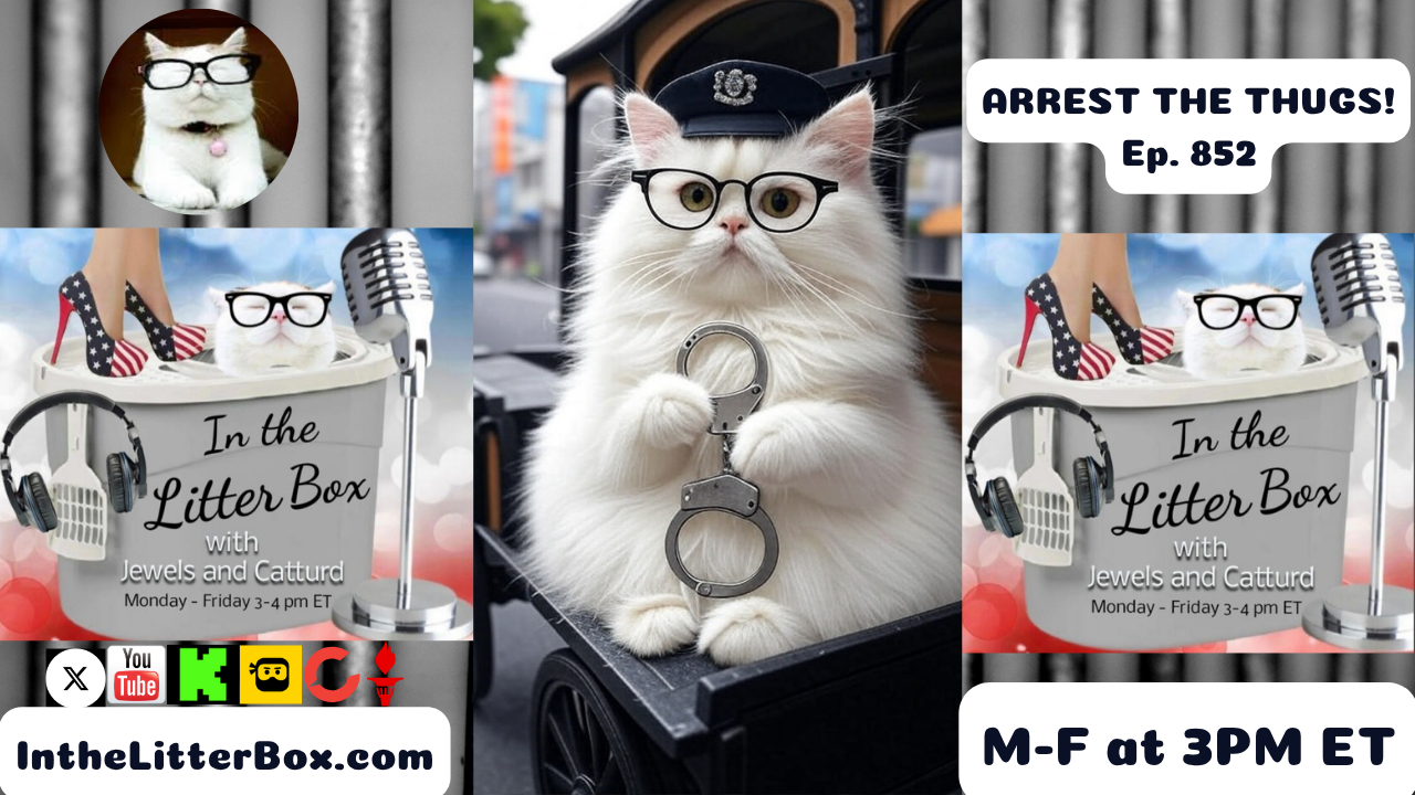 ARREST THE THUGS! | In the Litter Box w/ Jewels & Catturd – Ep. 852 – 7/30/2025