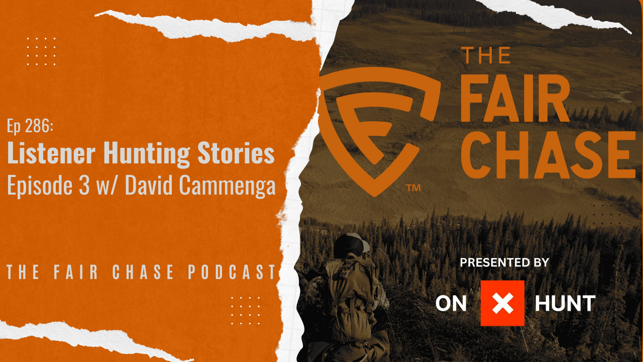 Listener Hunting Stories: Episode 3 w/ David Cammenga