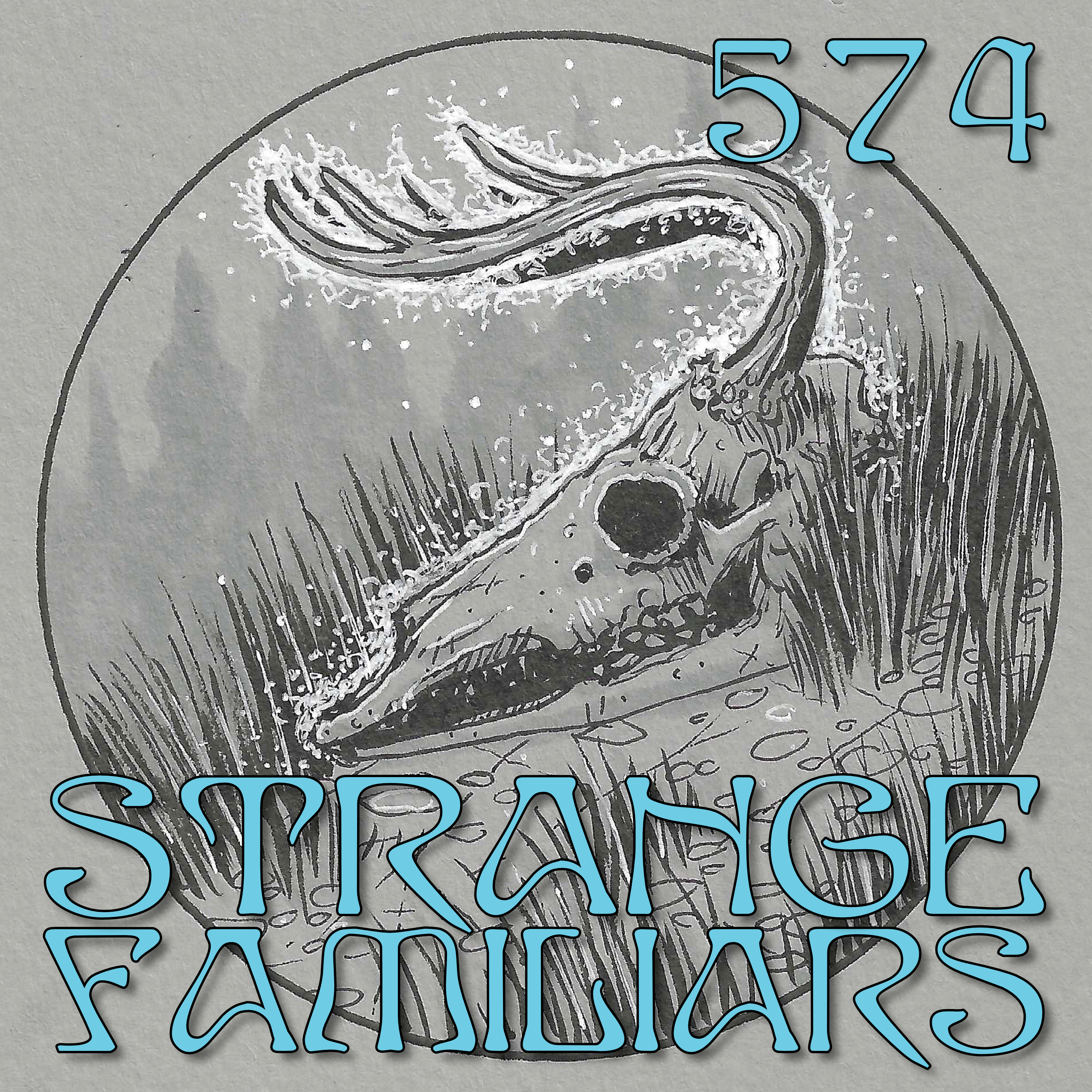 Skulls and Synchronicities at the Witches Grove