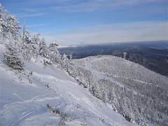 Dark Windows Podcast