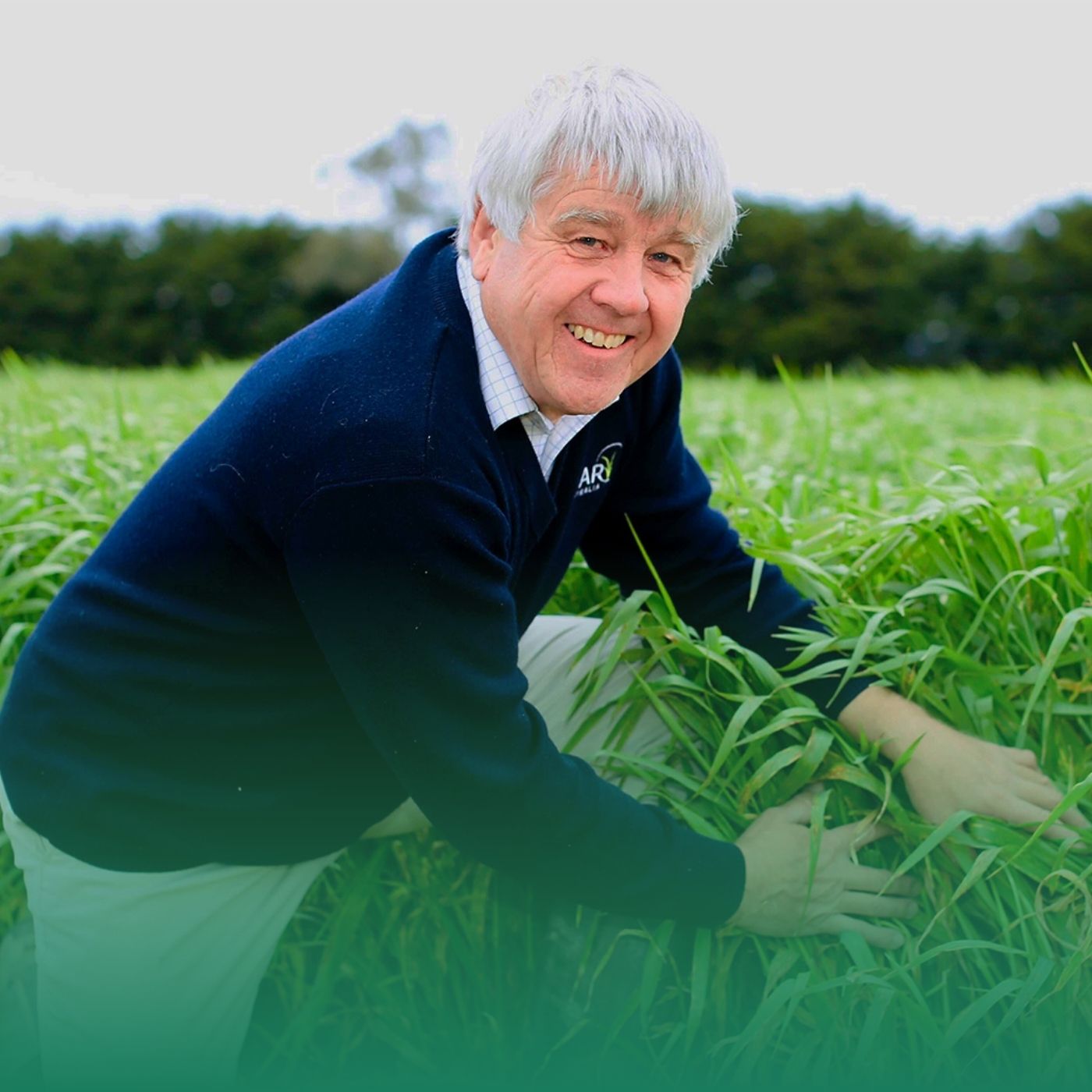 To spray or not to spray?