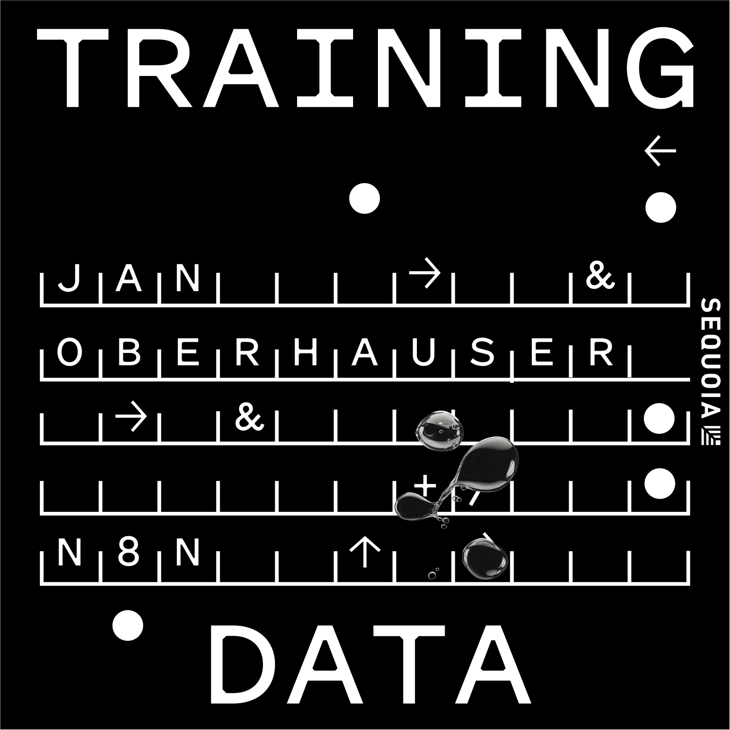 n8n CEO Jan Oberhauser on Building the Universal AI Automation Layer