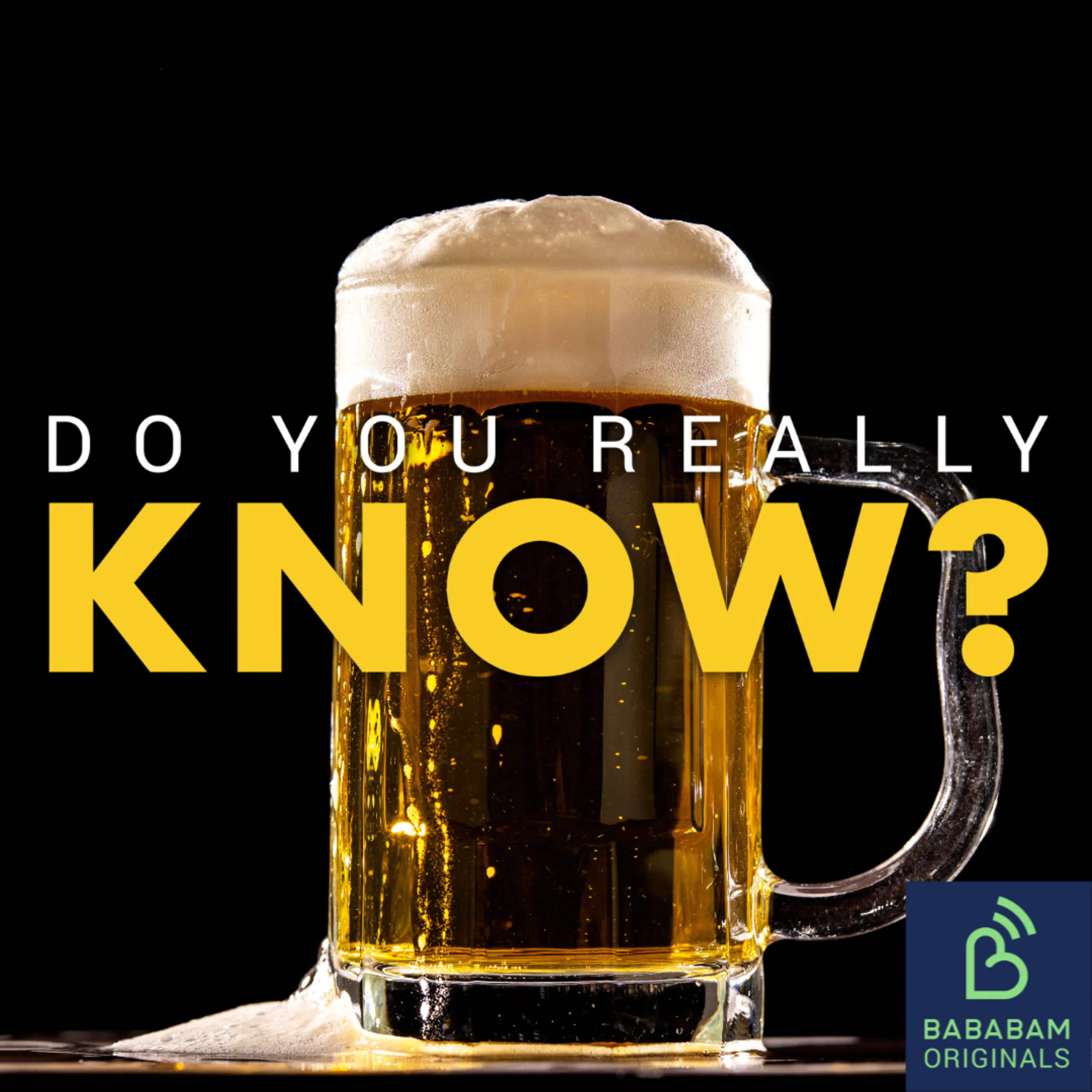 Cover art for the episode "Why should I eat more fermented foods?" from Do you really know?