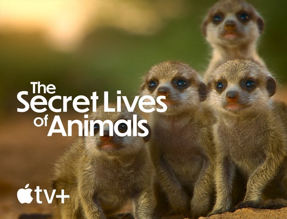 Secret Lives of Animals w/Matt Brandon & Mark Flowers
