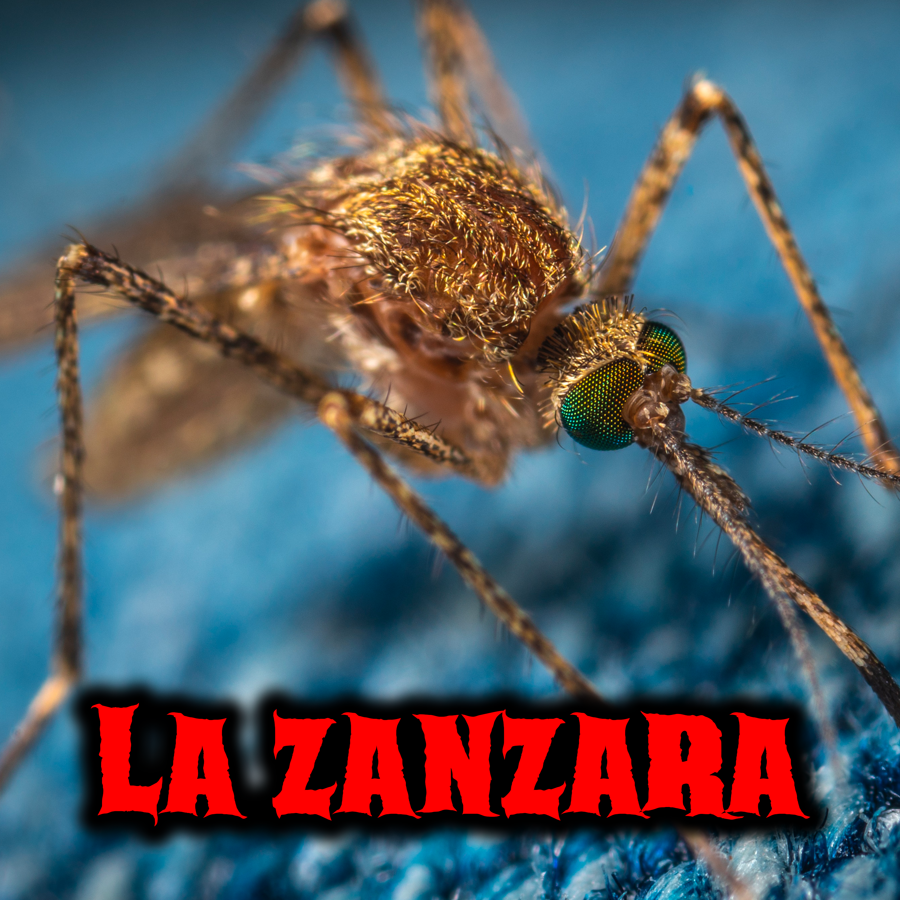 La zanzara - Creepypasta episode artwork