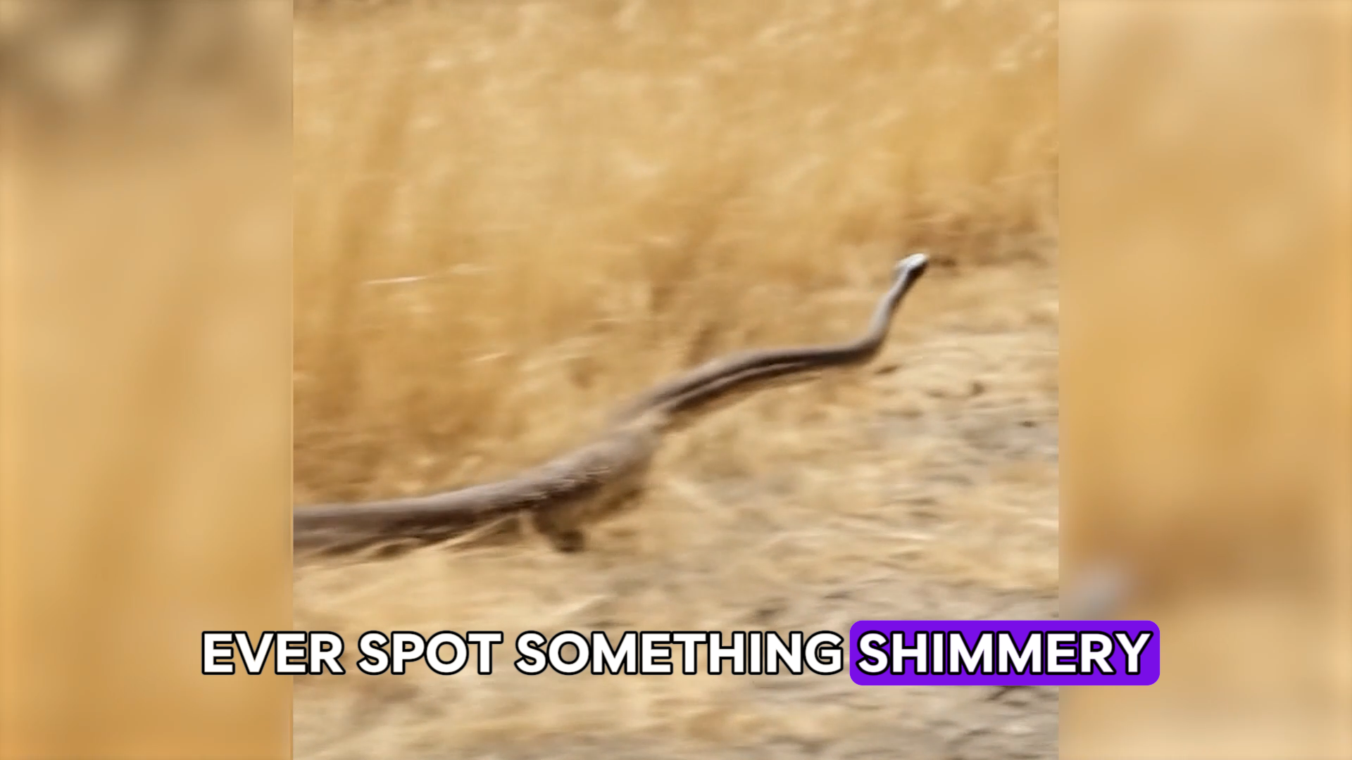 Trail Treasure: Snakeskin Sparks Kind, Kid-Safe Nature Crafts