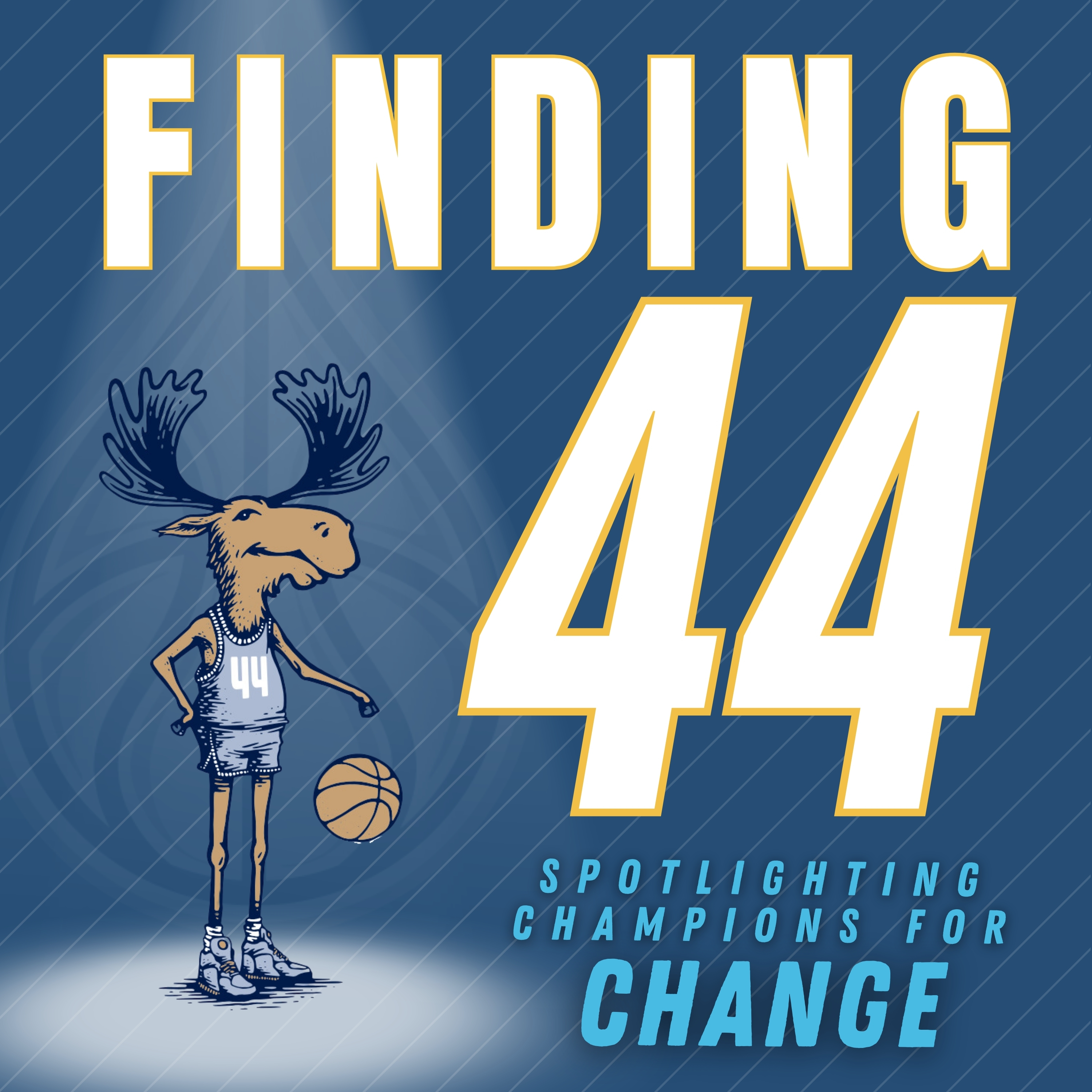Finding 44