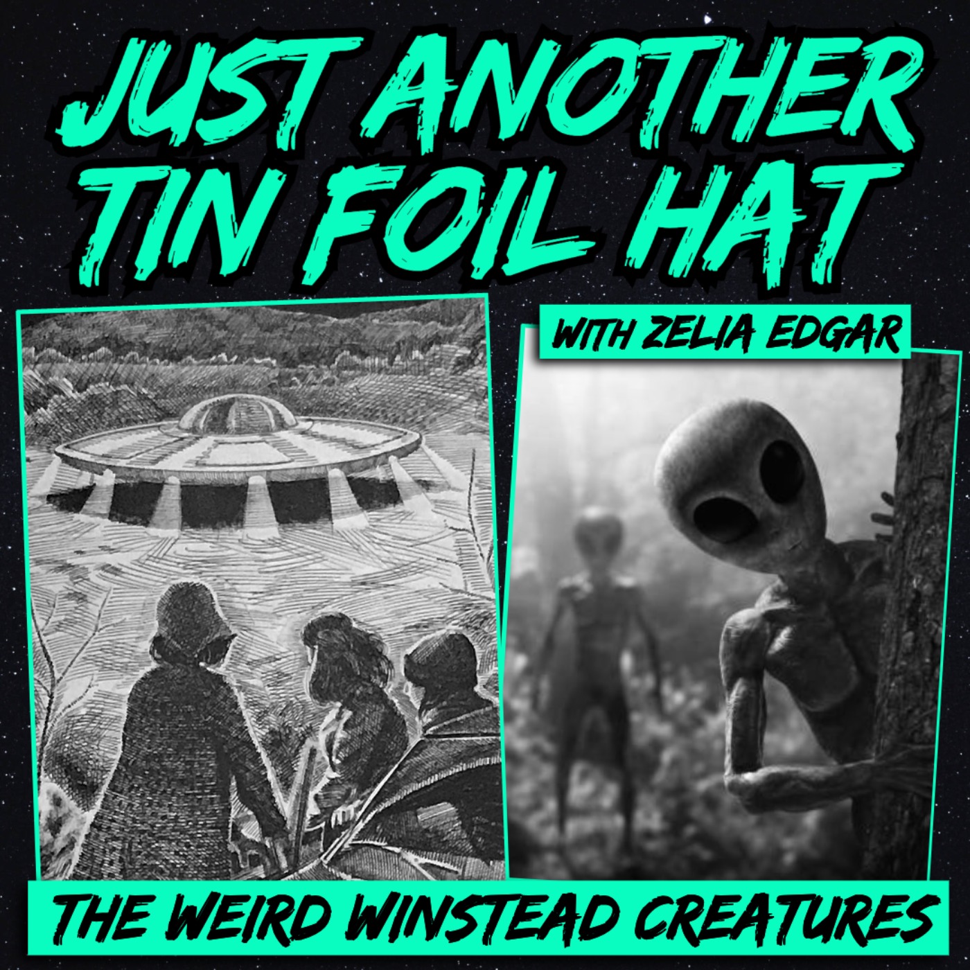 Just Another Tin-Foil Hat | The Weird Winsted Creatures