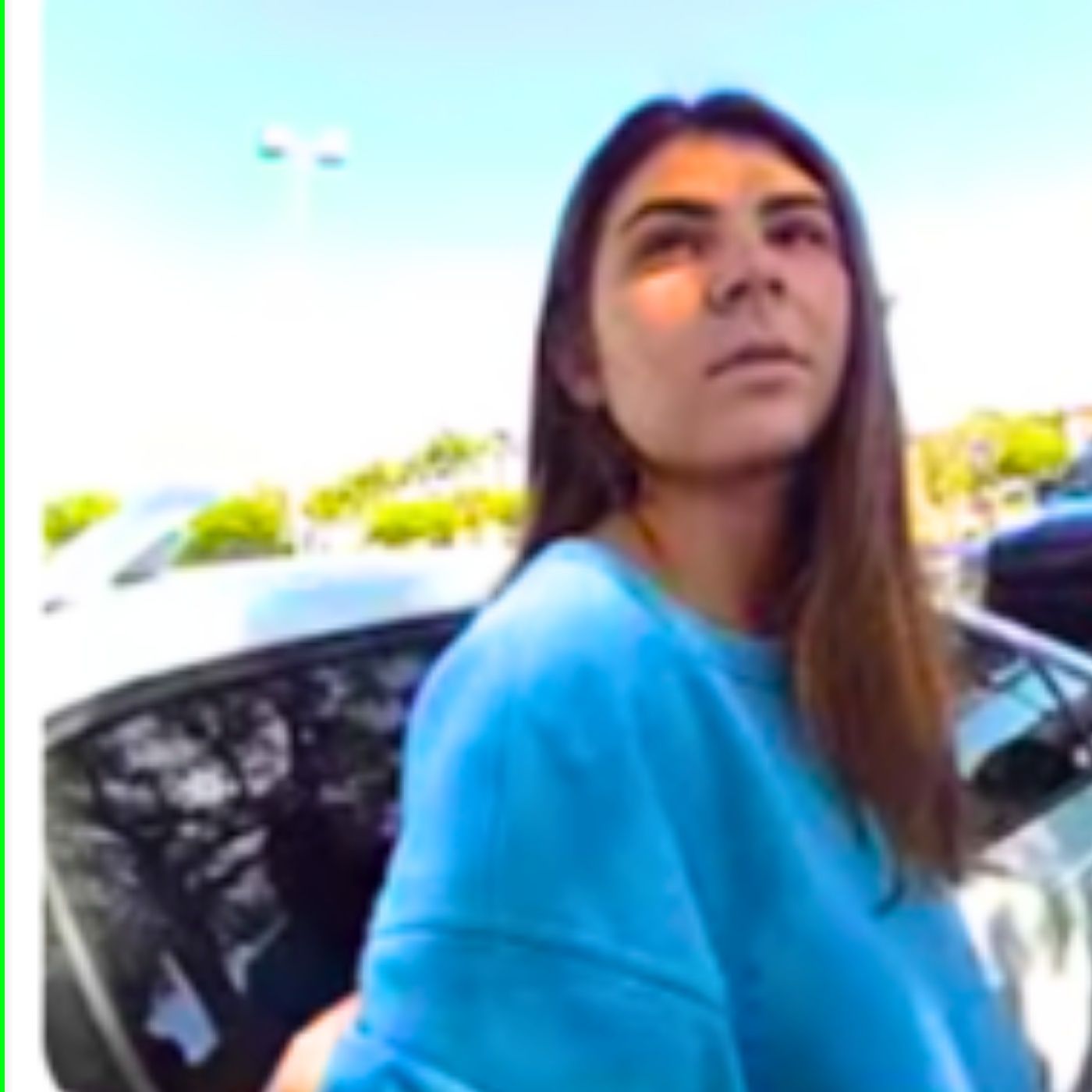 Crazy Lady, Leaving the Scene of an Accident Involving Death | Police Body Cam episode artwork
