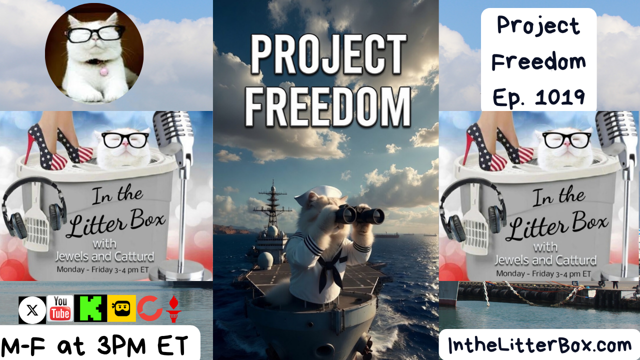 Project Freedom | In the Litter Box w/ Jewels Jones & Catturd – Ep. 1019 5/6/2026