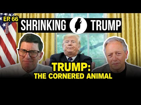 Epstein Files Frenzy and Court Losses Fuel Trump’s Collapse