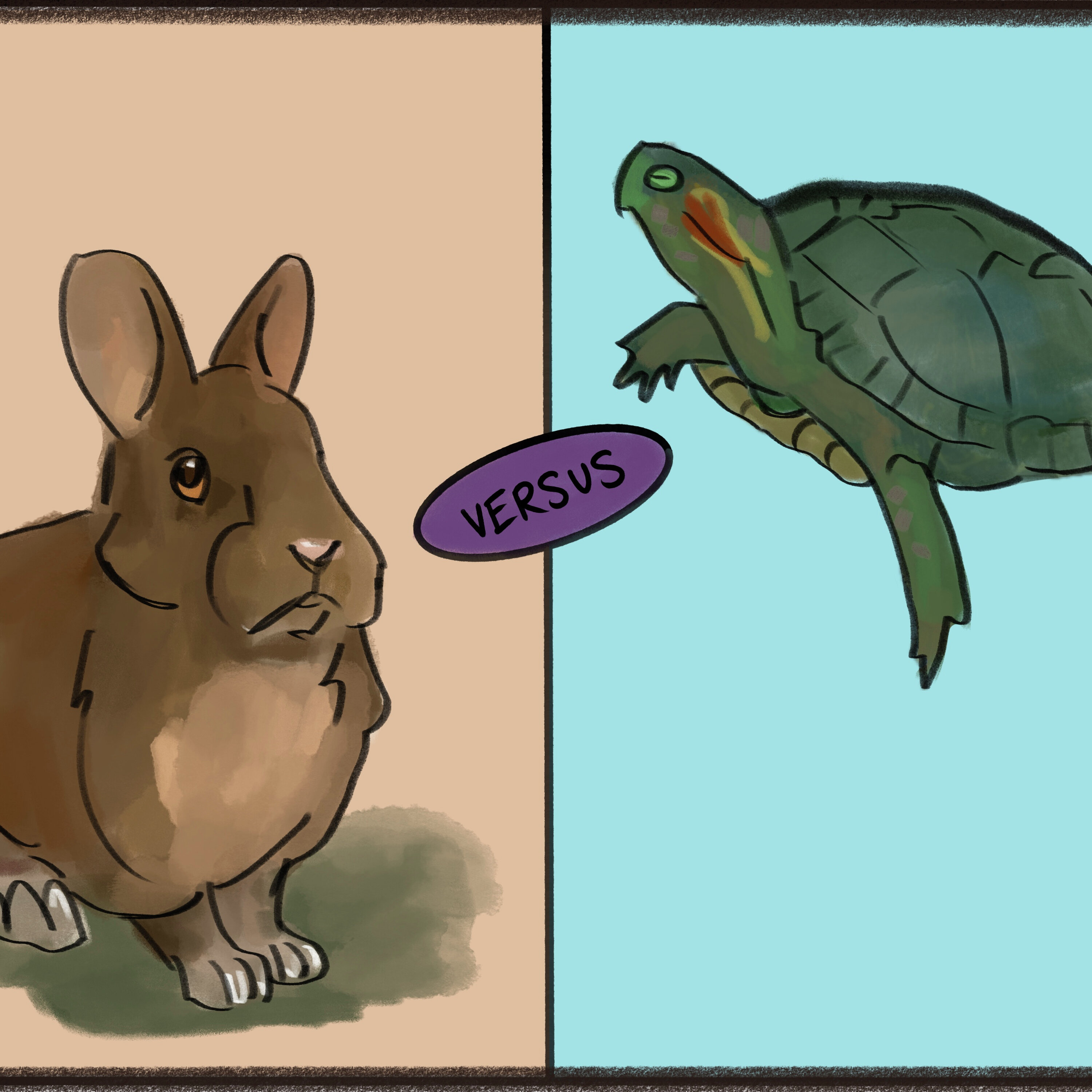 Turtles vs Rabbits
