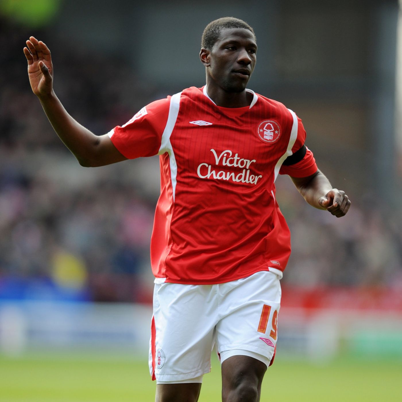 Garibaldi Red Podcast #65 | GUY MOUSSI ON HIS FOREST CAREER episode artwork