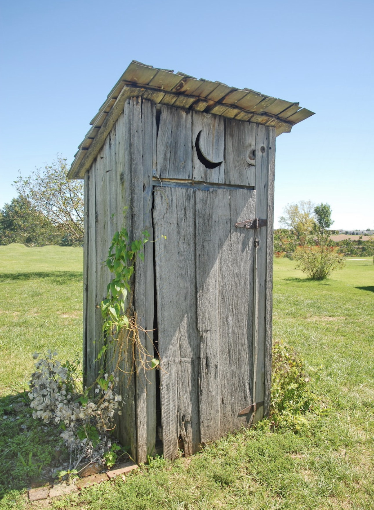 Food for thought #9 - Outhouse (rated M) episode artwork
