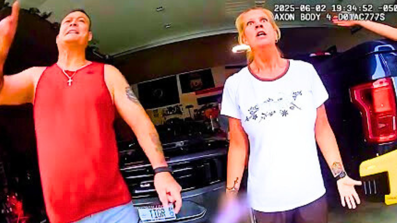 Rich Family Loses It, Then the Whole Family Gets Arrested episode artwork