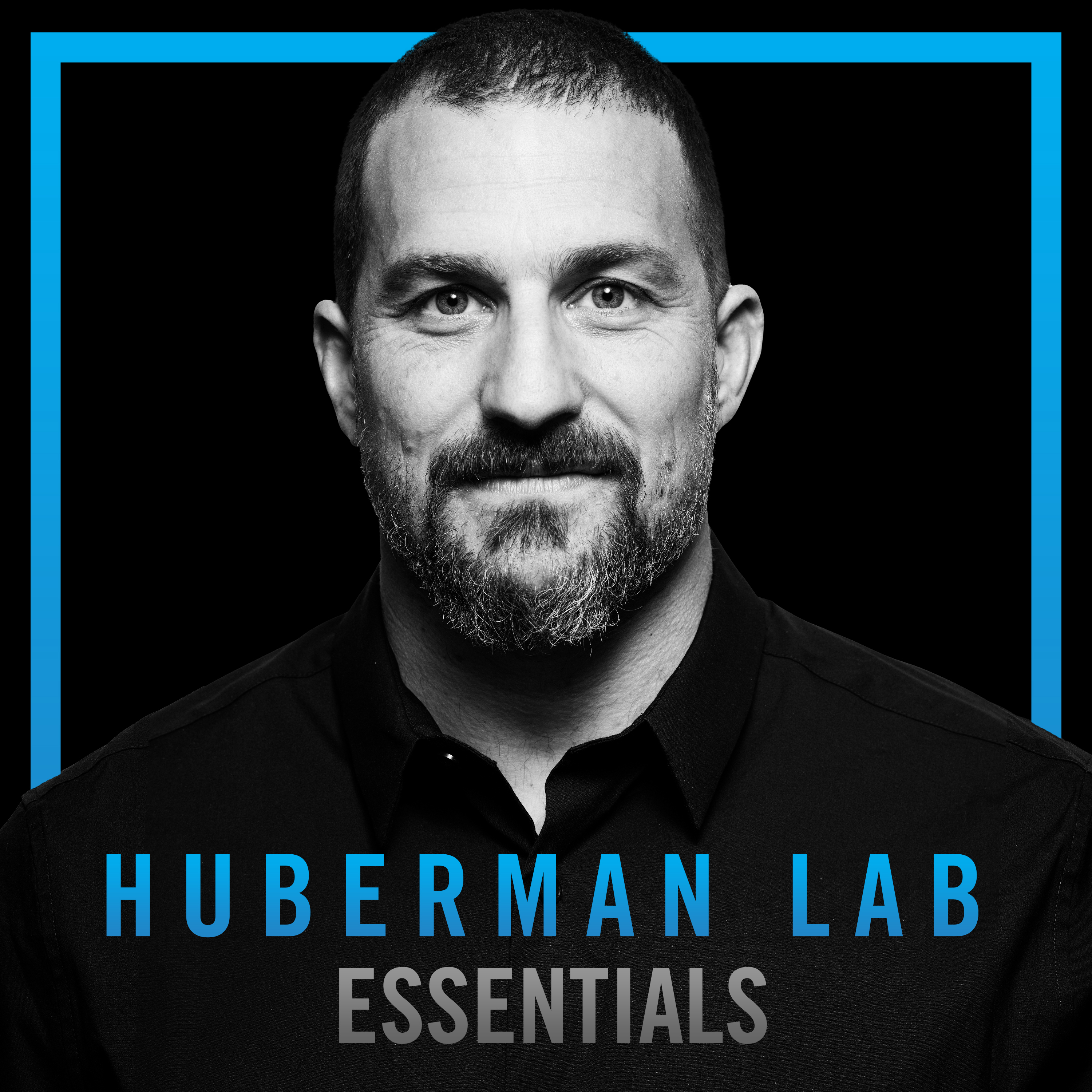 Huberman Lab artwork