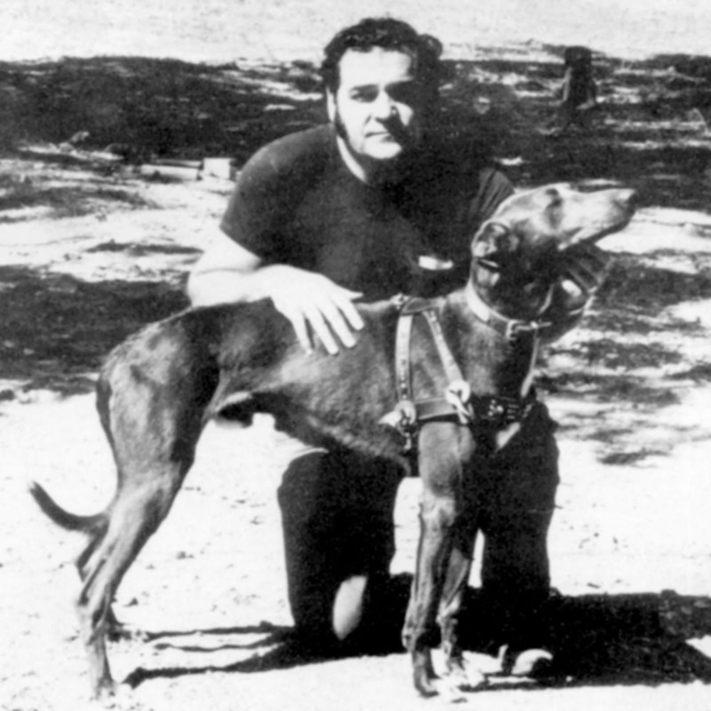 52. No Witness, No Crime Part 1