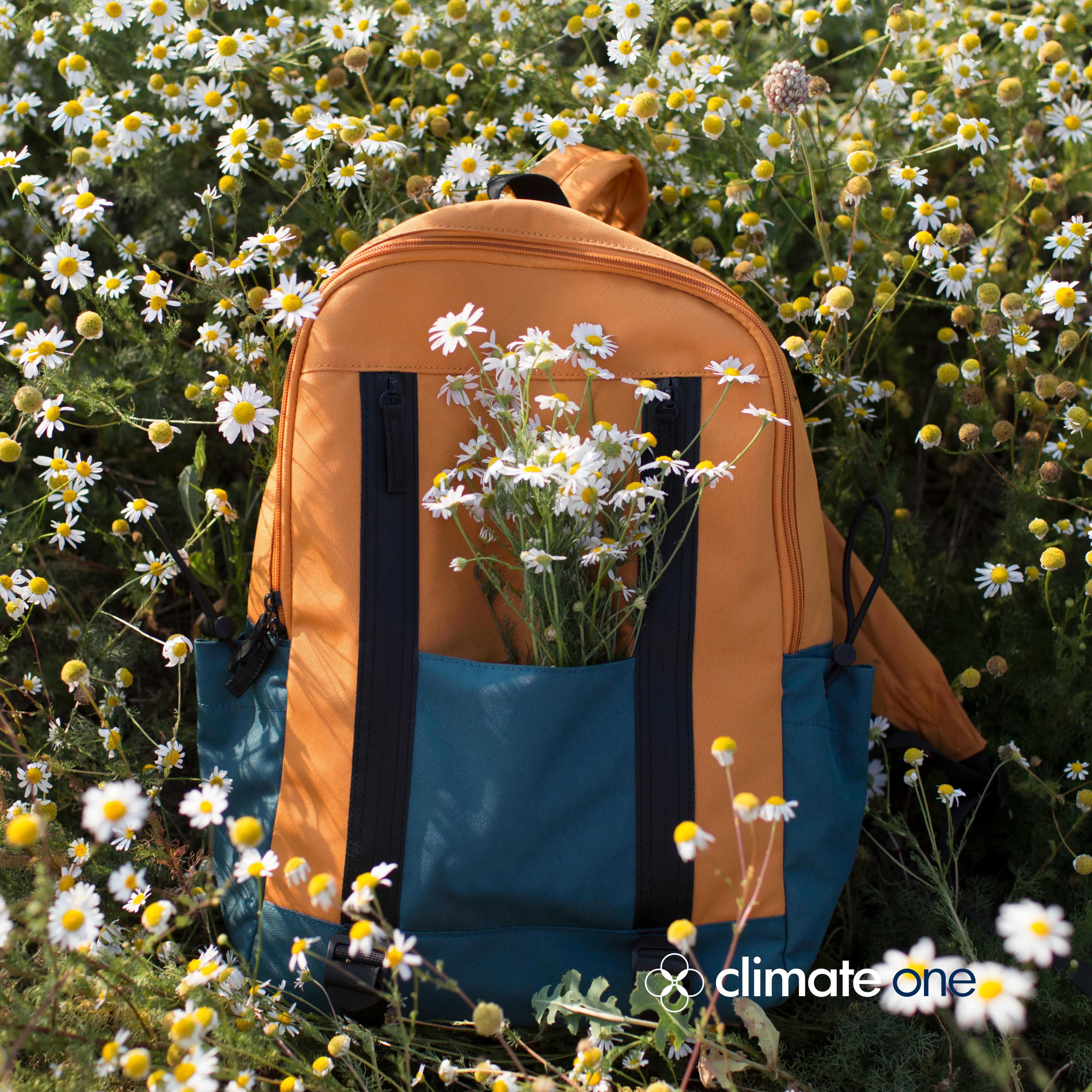 REWIND: Staycation: All I Ever Wanted