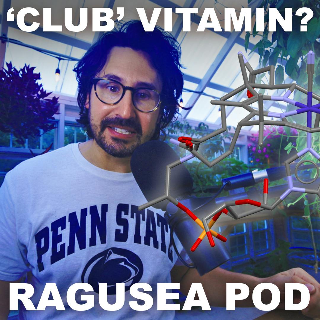 What Vitamin B12 actually is/does (E68) What Vitamin B12 actually is/does (E68)