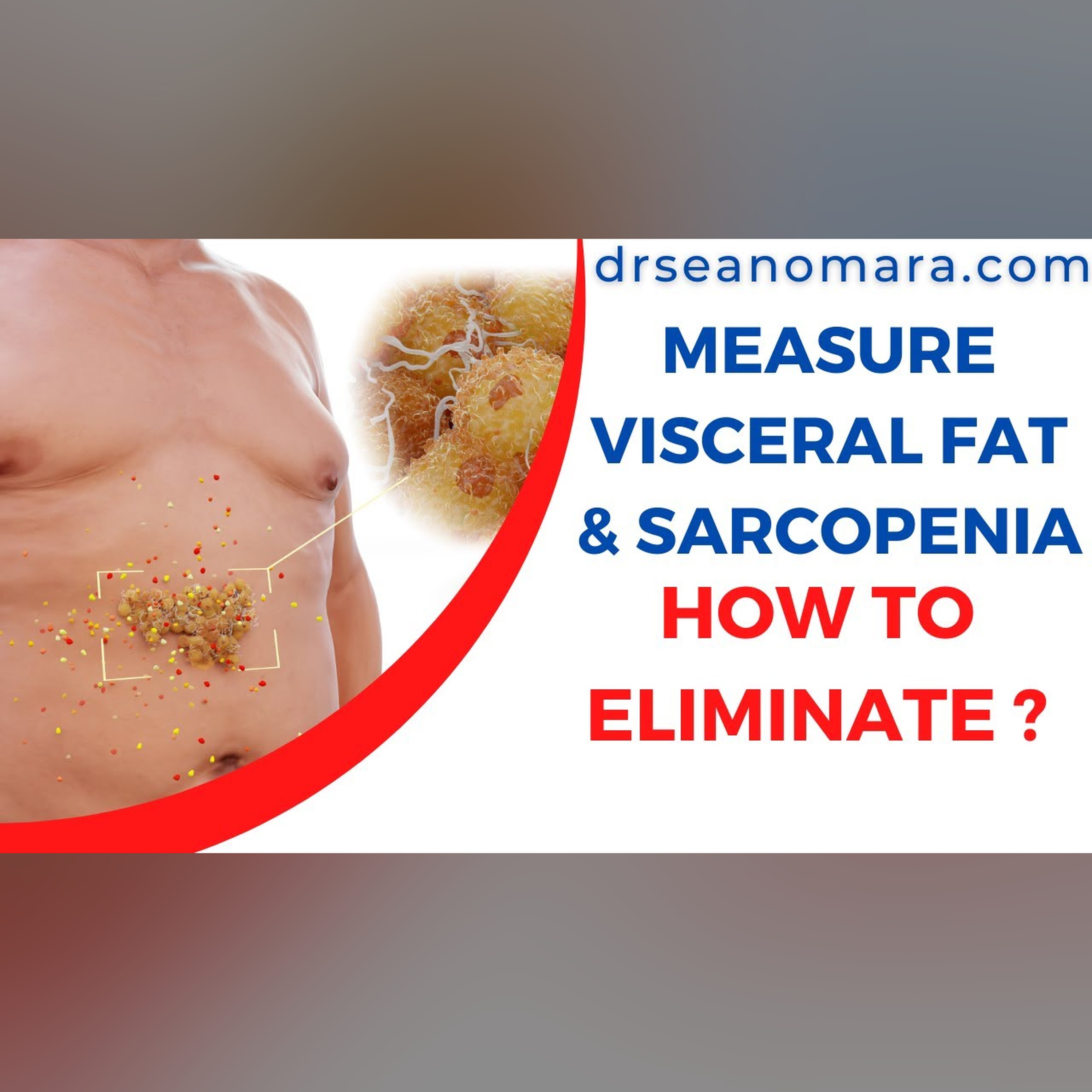 How to know, measure and evaluate your Visceral Fat and Sarcopenia: What it Is and How To Eliminate Each. episode artwork