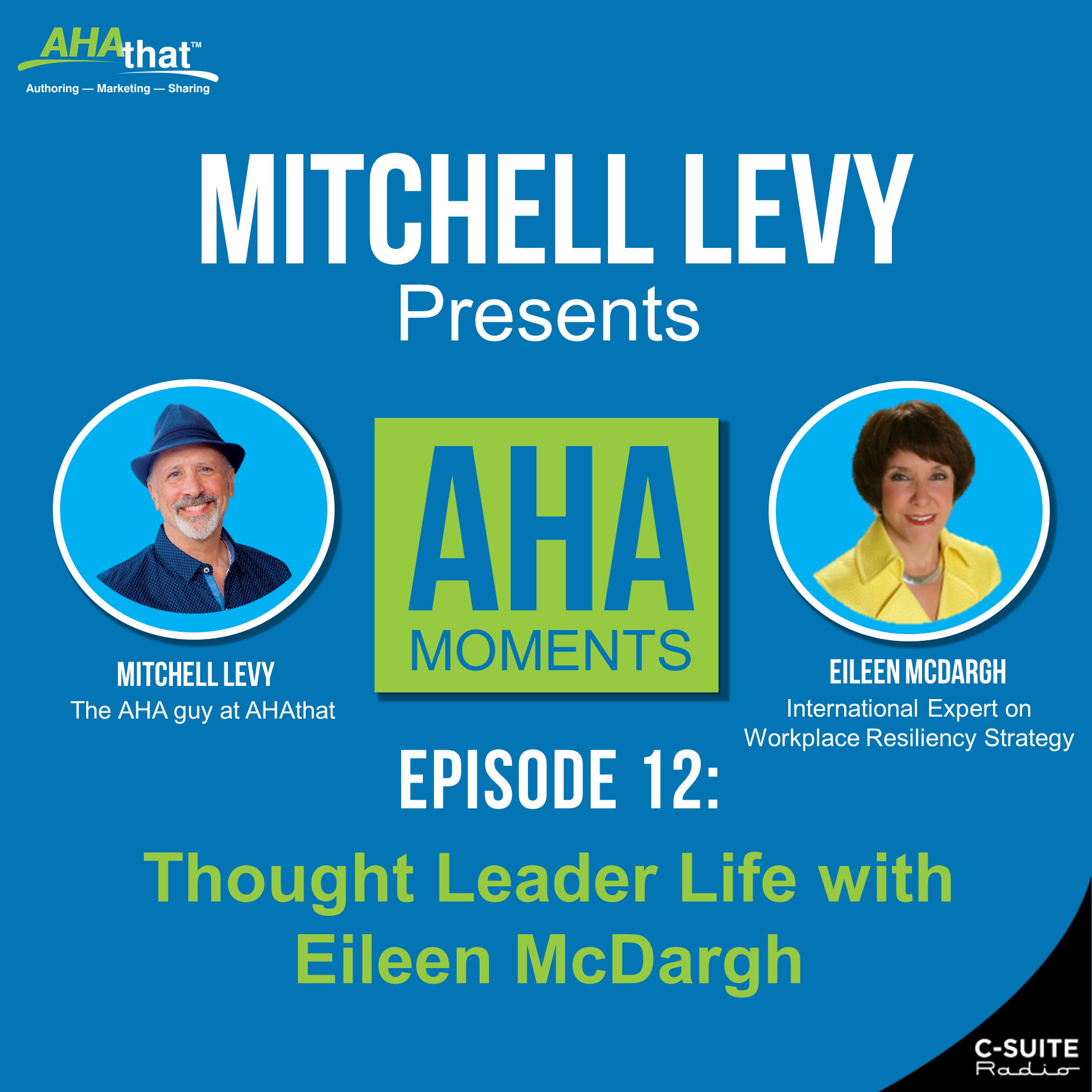Mitchell Levy Presents AHA Moments