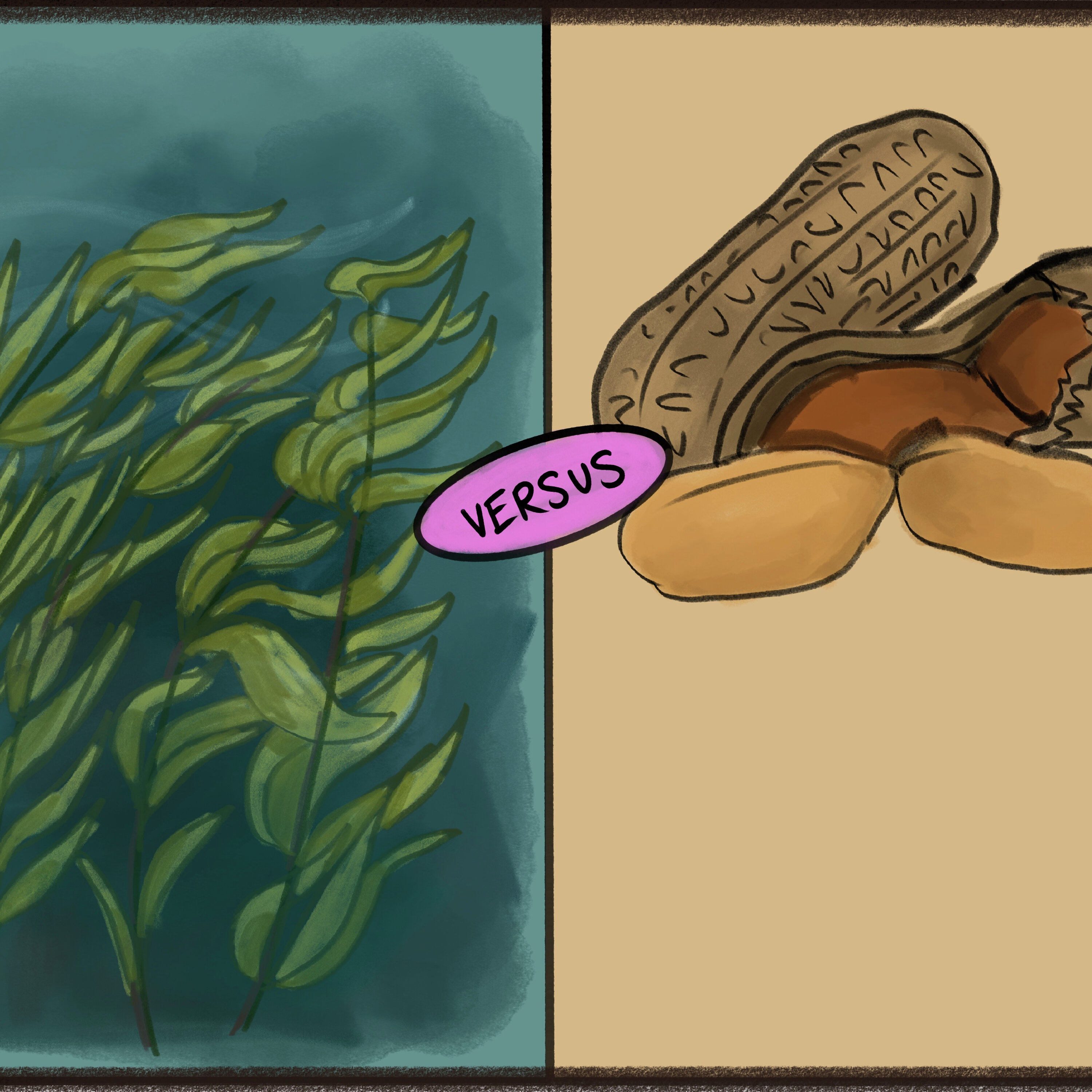 Seaweed vs Peanuts