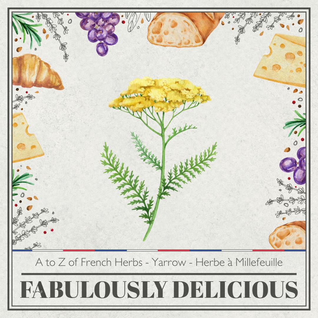 A to Z of French Herbs - Yarrow - Herbe à Millefeuille