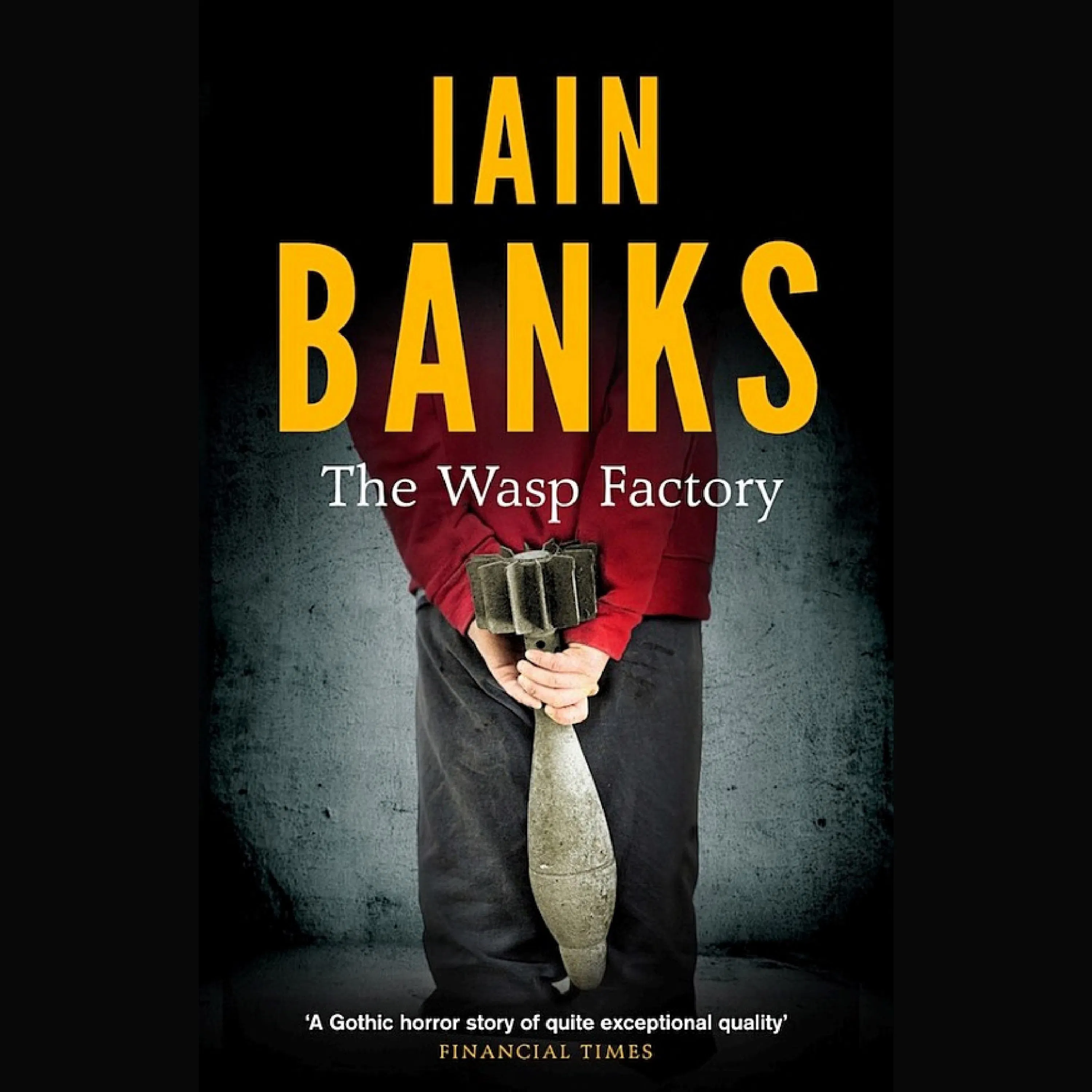 The Wasp Factory Summary | Iain Banks