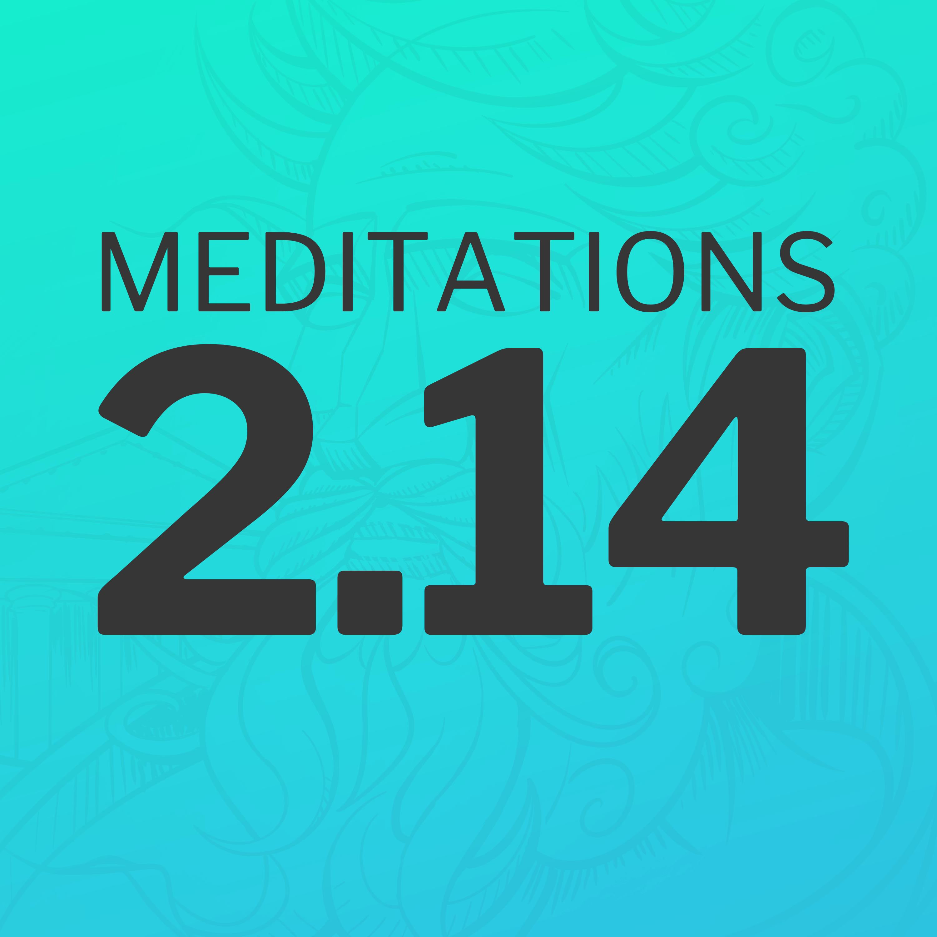 How Stoicism Frames Life, Death, and the Importance of Living Well (Meditations 2.14)