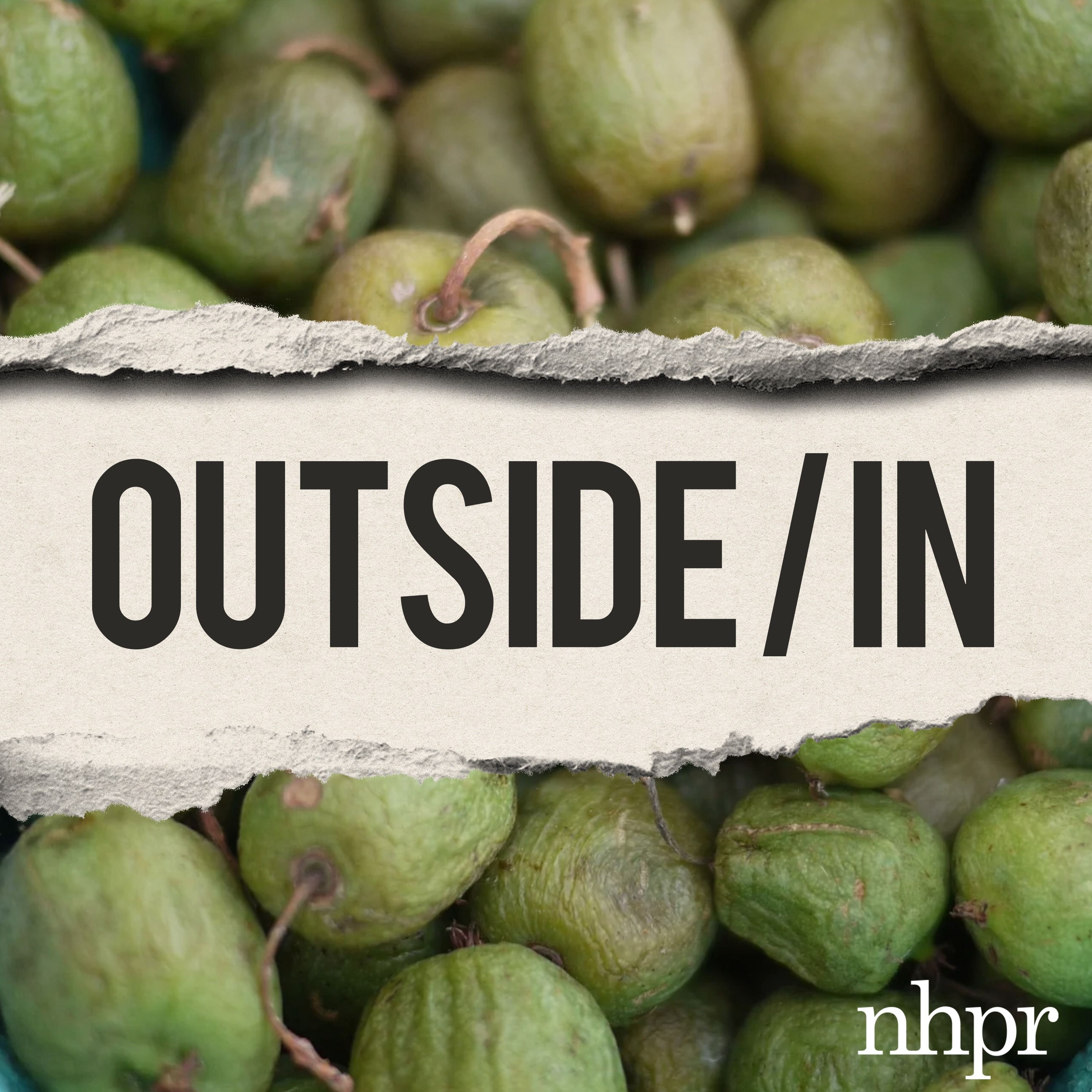 Return of the Kiwi Apocalypse: 10 years of Outside/In