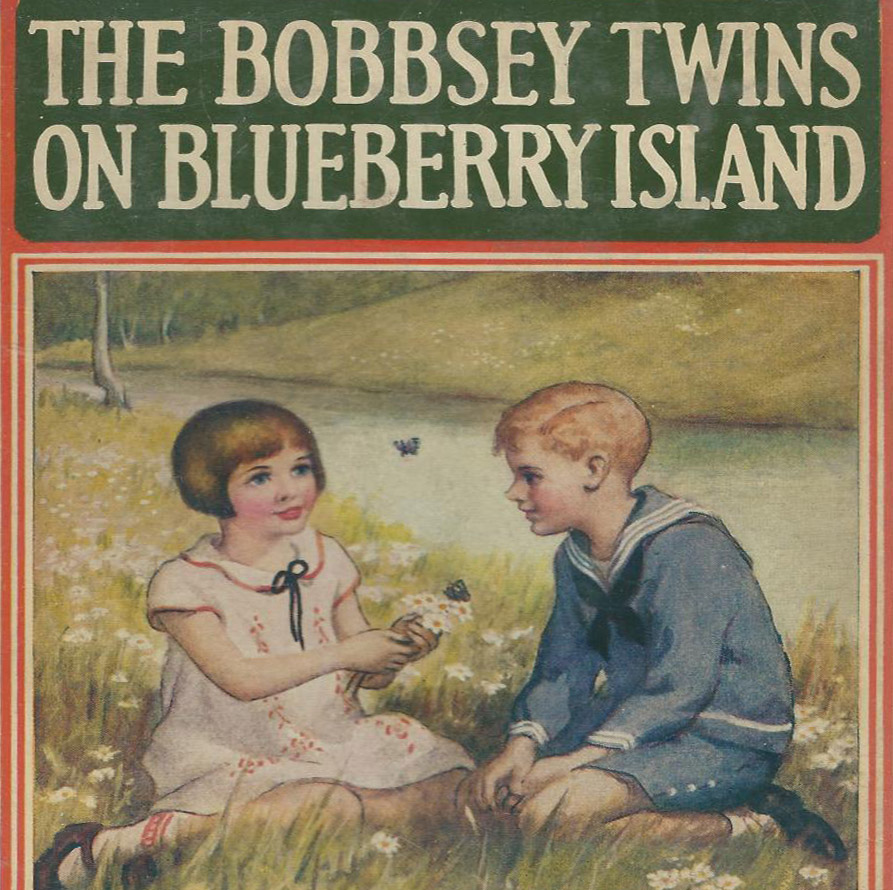 The Bobbsey Twins on Blueberry Island by Laura Lee Hope ~ Full Audiobook