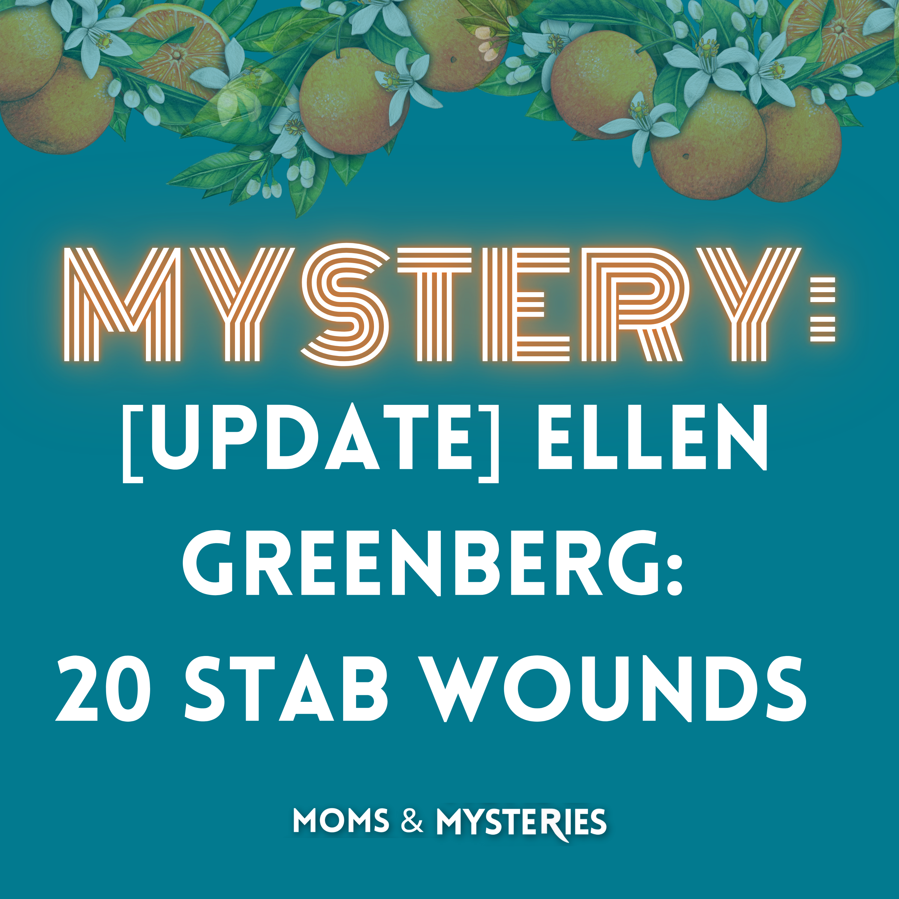 [Update] Ellen Greenberg: 20 Stab Wounds