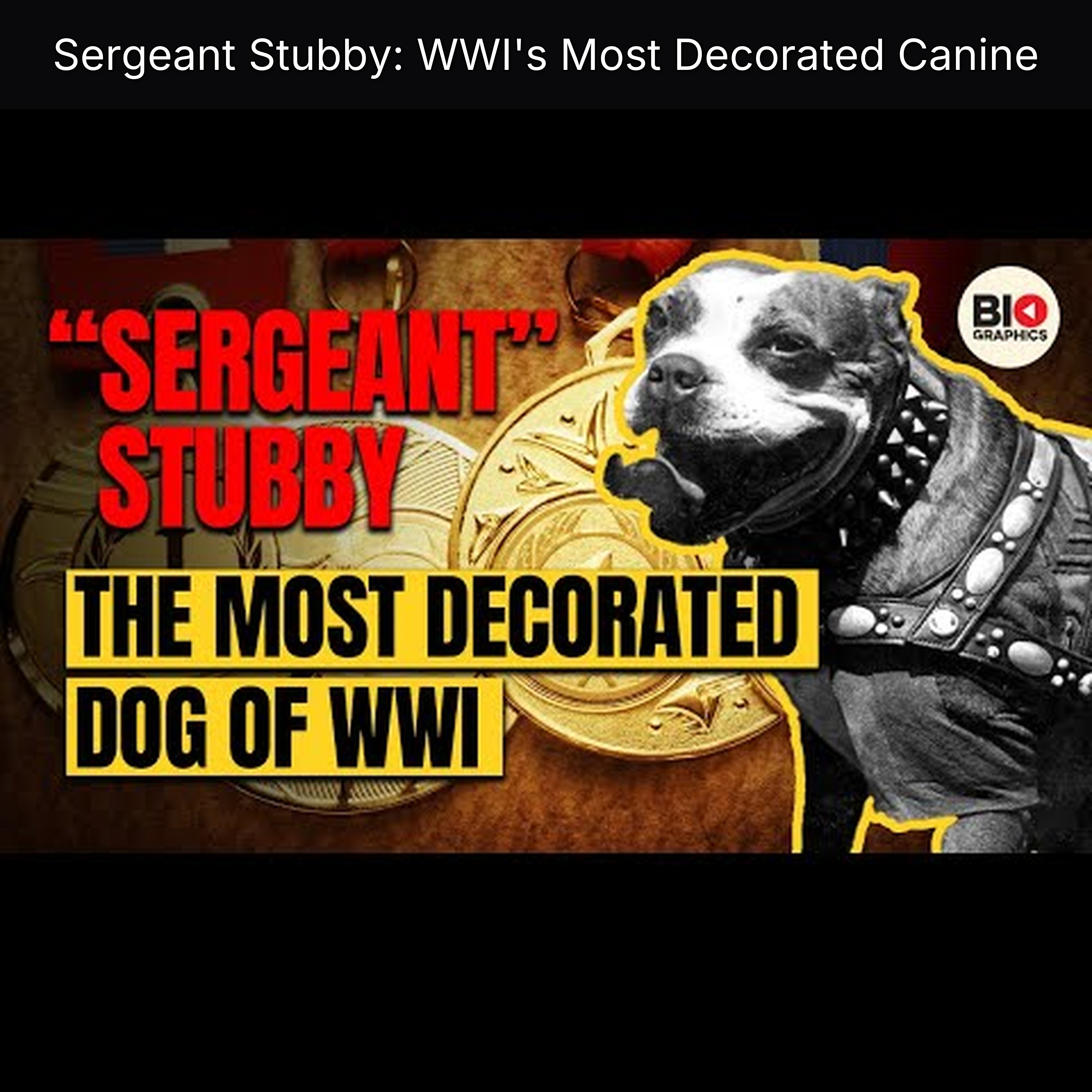 Sergeant Stubby: WWI's Most Decorated Canine