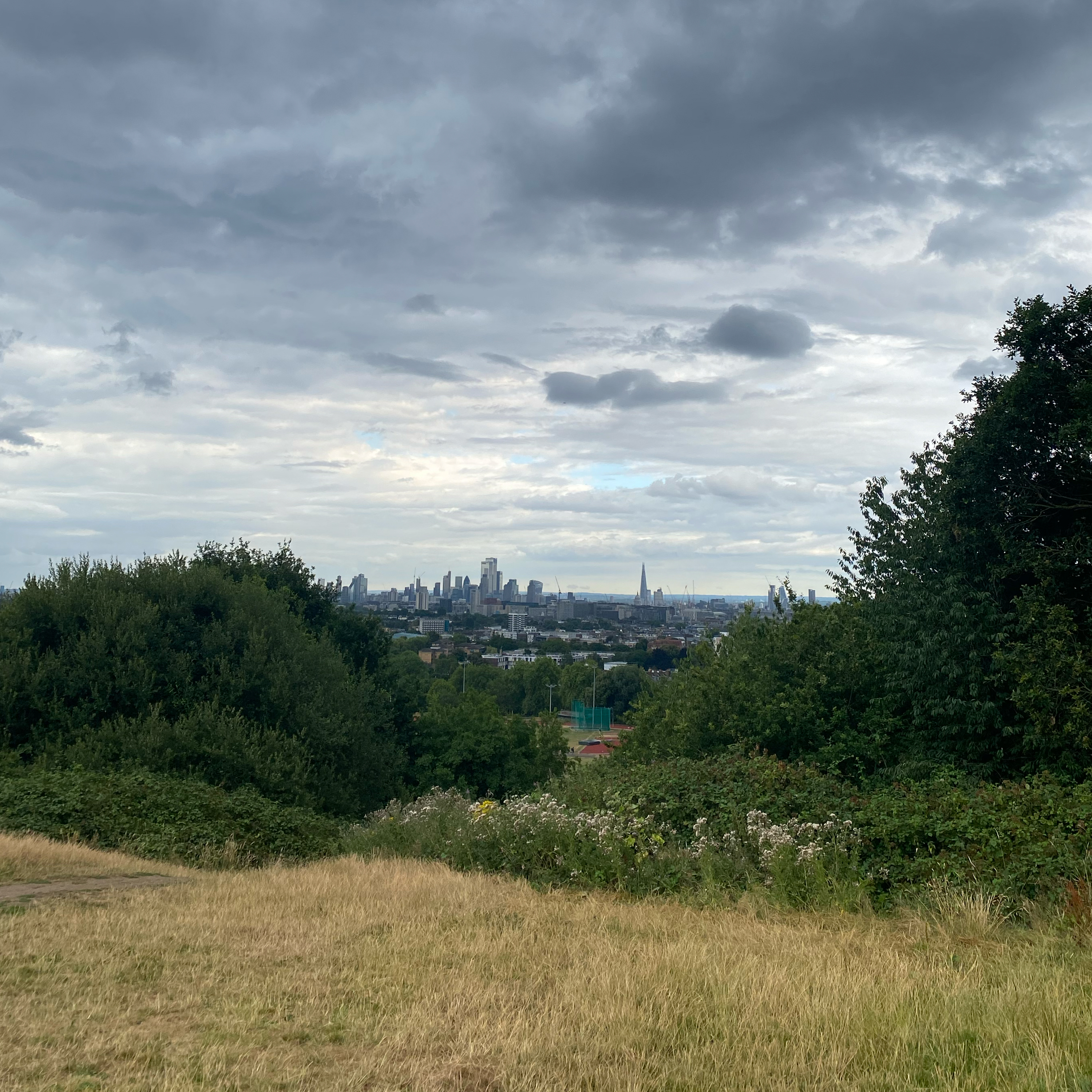 Sound Escape 235. Listen to the distinct chorus of London's parakeets