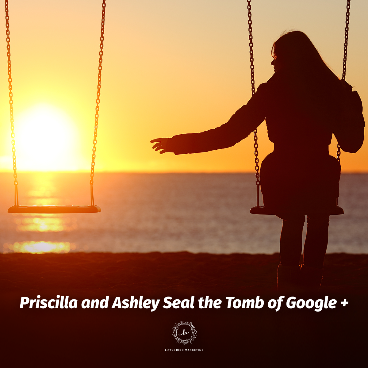 Ponderings from the Perch