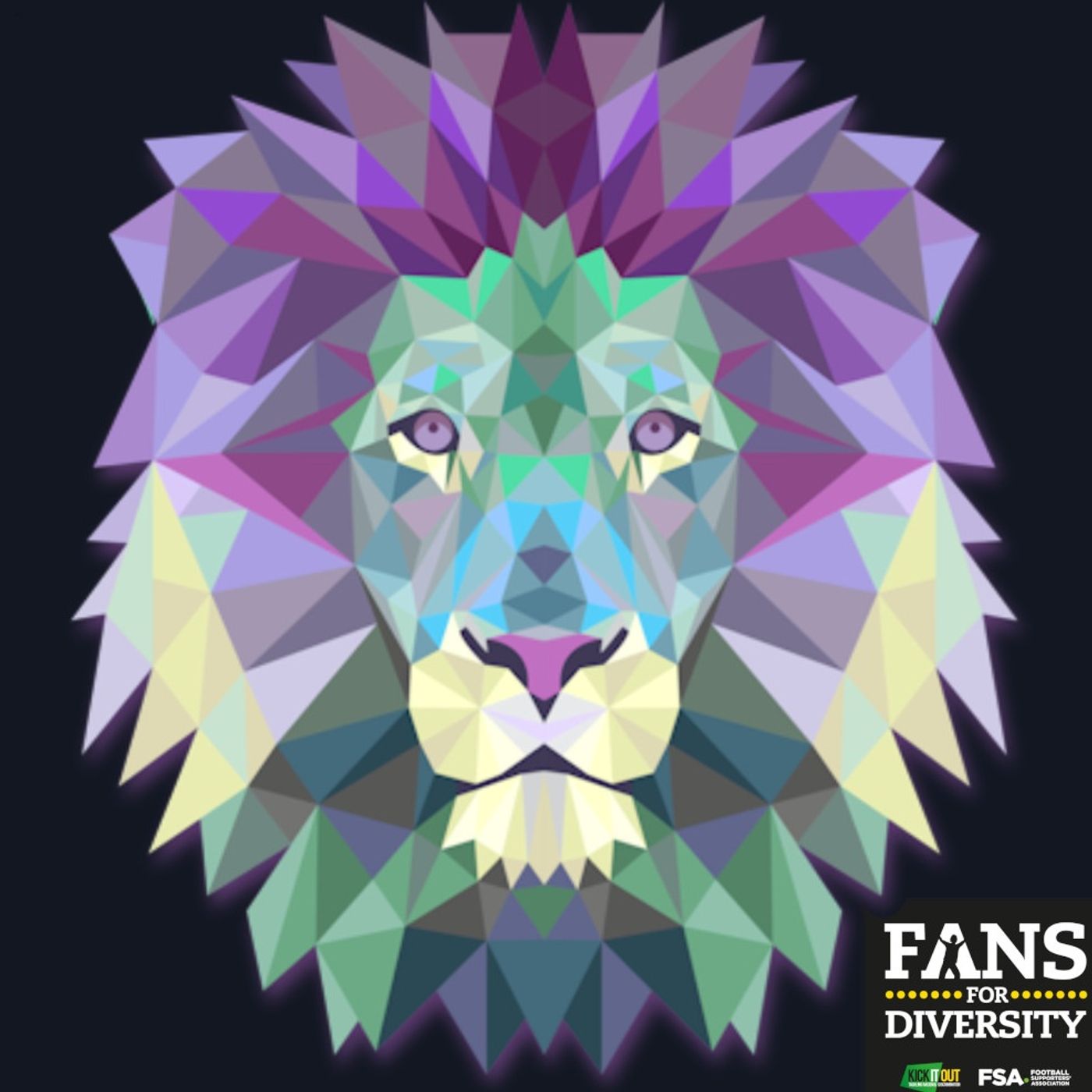 AVFC Extra #9 | Making a stronger Aston Villa fan experience with Villans Together