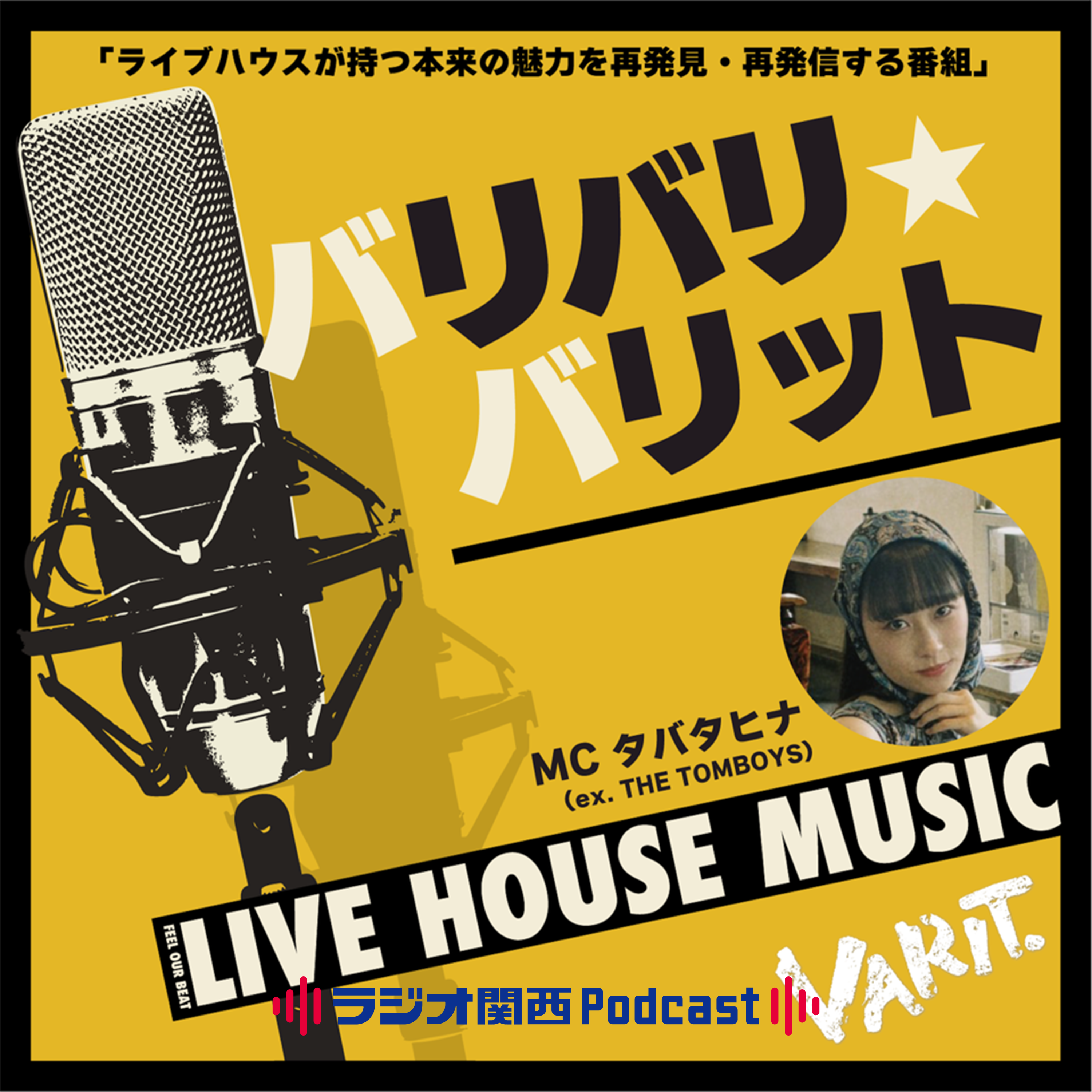 ハイカラフルワンダフル2026特集 -アーティスト紹介- episode artwork