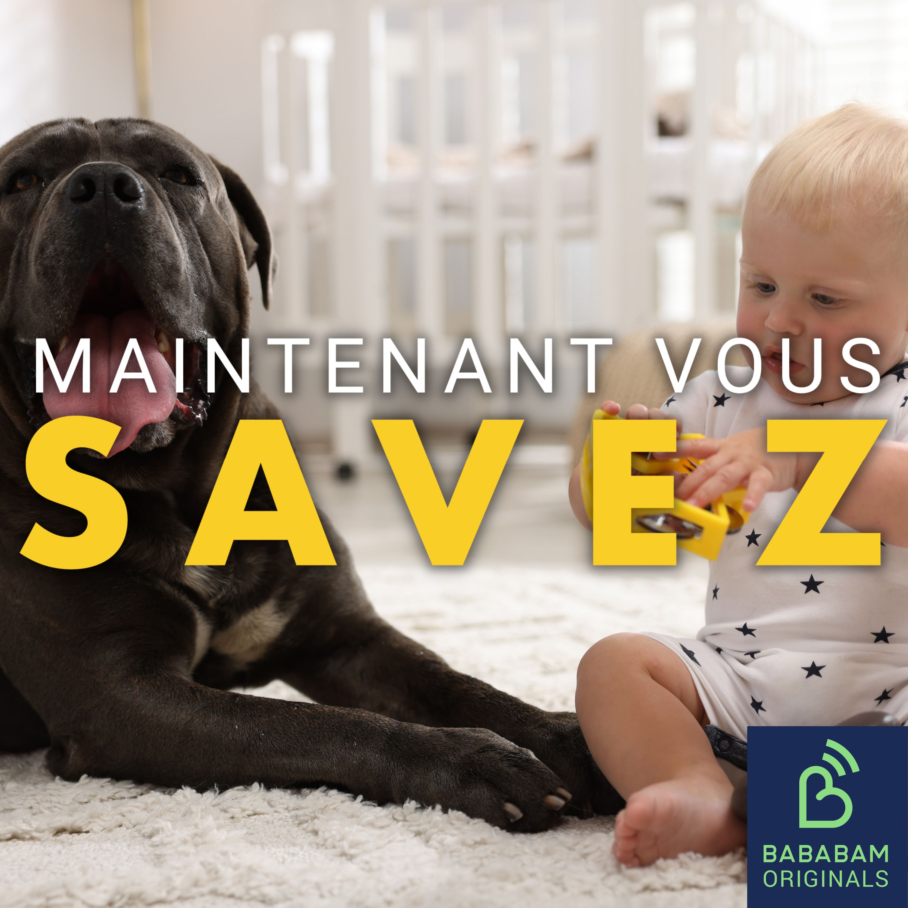 Pourquoi avons-nous tendance à traiter nos animaux comme nos enfants ?