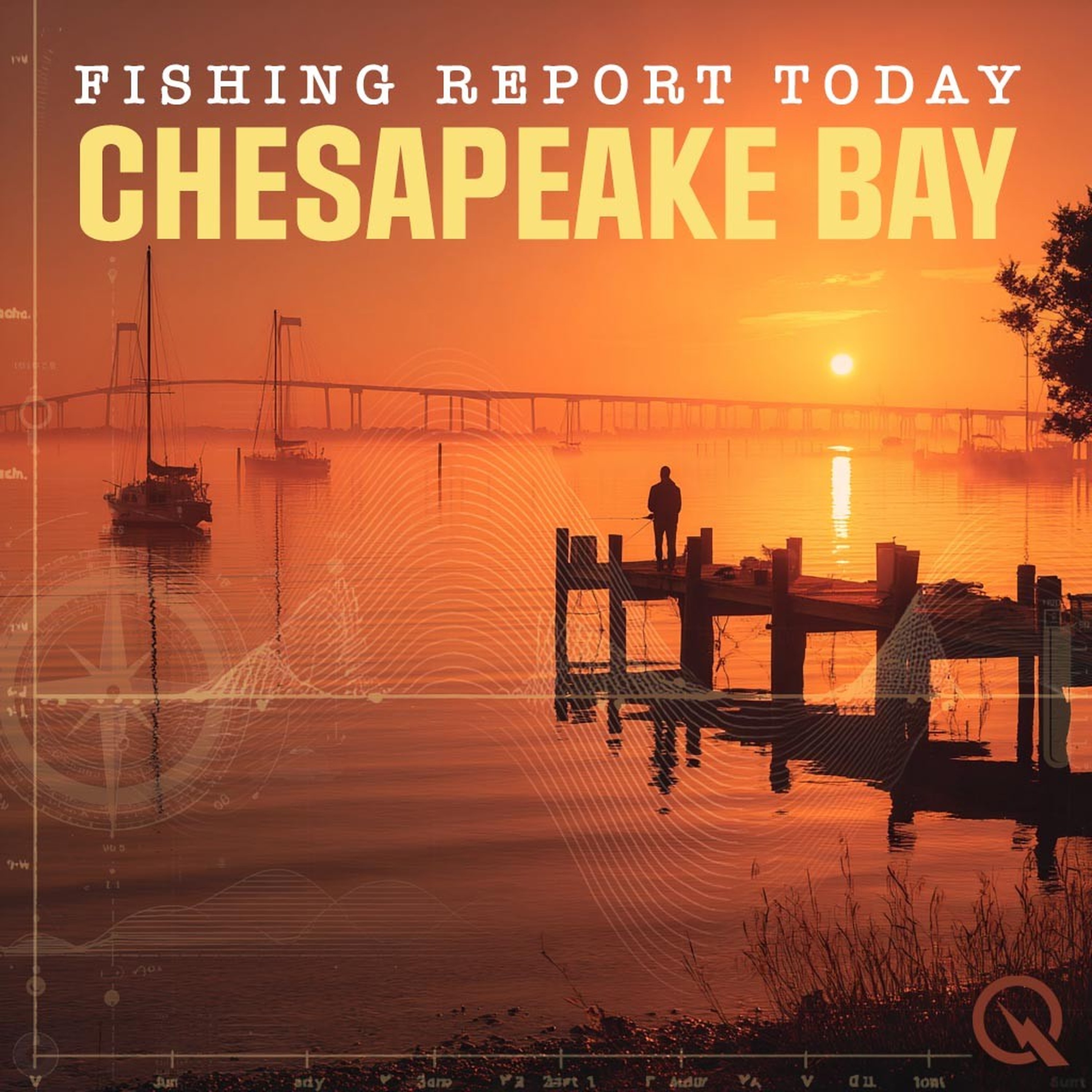 Chesapeake Bay, Virginia Fishing Report Today podcast artwork