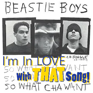 The Beastie Boys - "So What'cha Want" & "Gratitude" episode artwork
