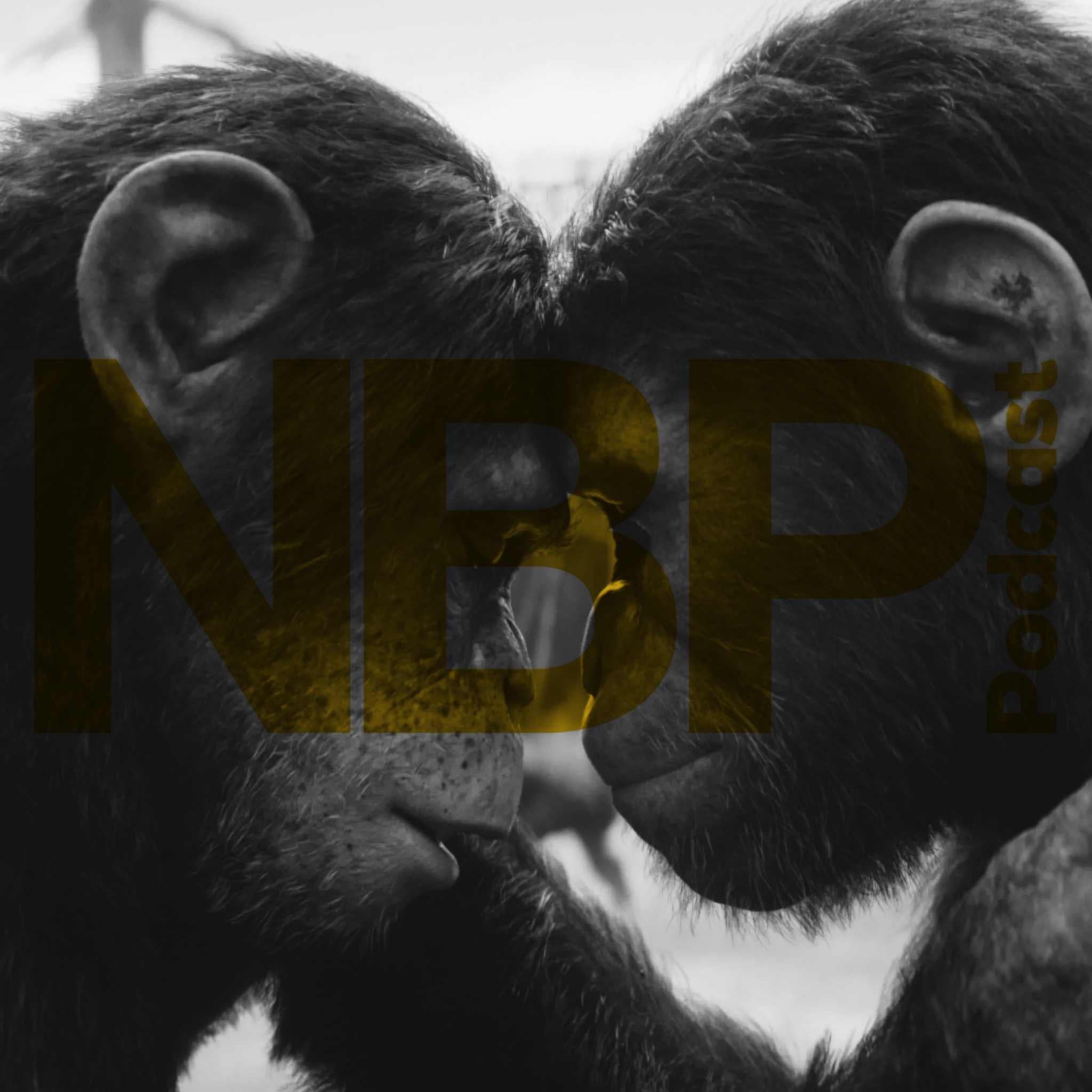 Interview With "Kingdom Of The Planet Of The Apes" Visual Effects Supervisor Erik Winquist