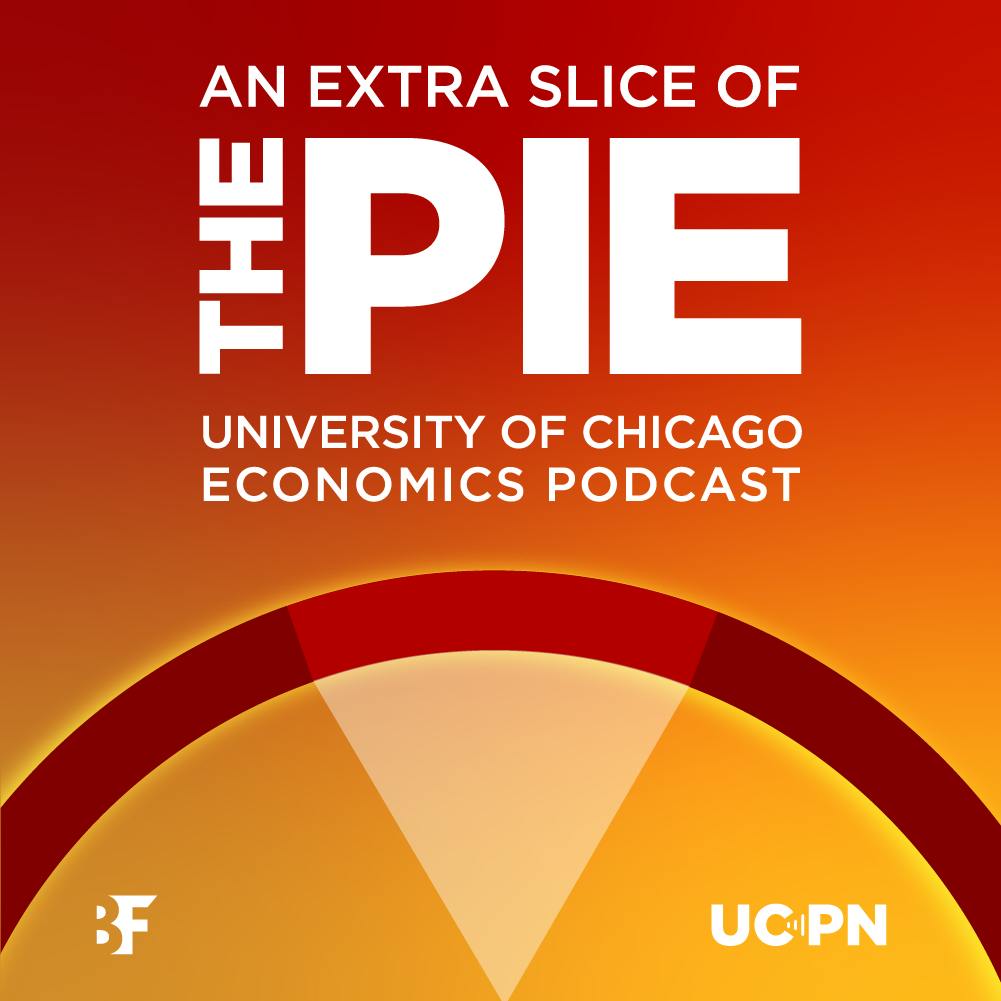 Why Banks Exist and Why They Fail: Douglas Diamond on Runs, Regulation, and the Risks of Short-Term Debt Why Banks Exist and Why They Fail: Douglas Diamond on Runs, Regulation, and the Risks of Short-Term Debt