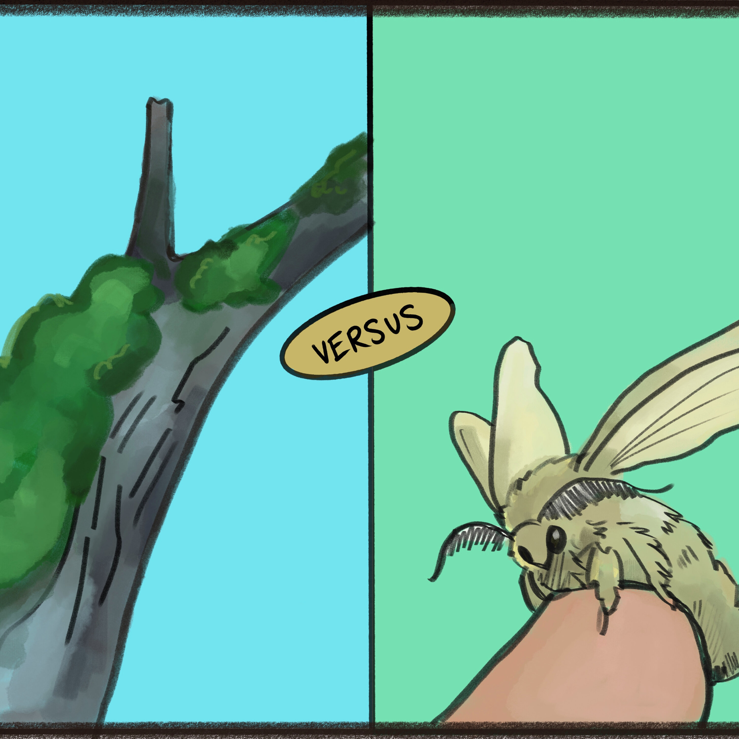 Moss vs. Moths