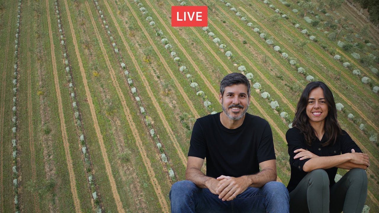 Vivere in SINTROPIA. Coltivare come una foresta, con Dayana Andrade e Felipe Pasini