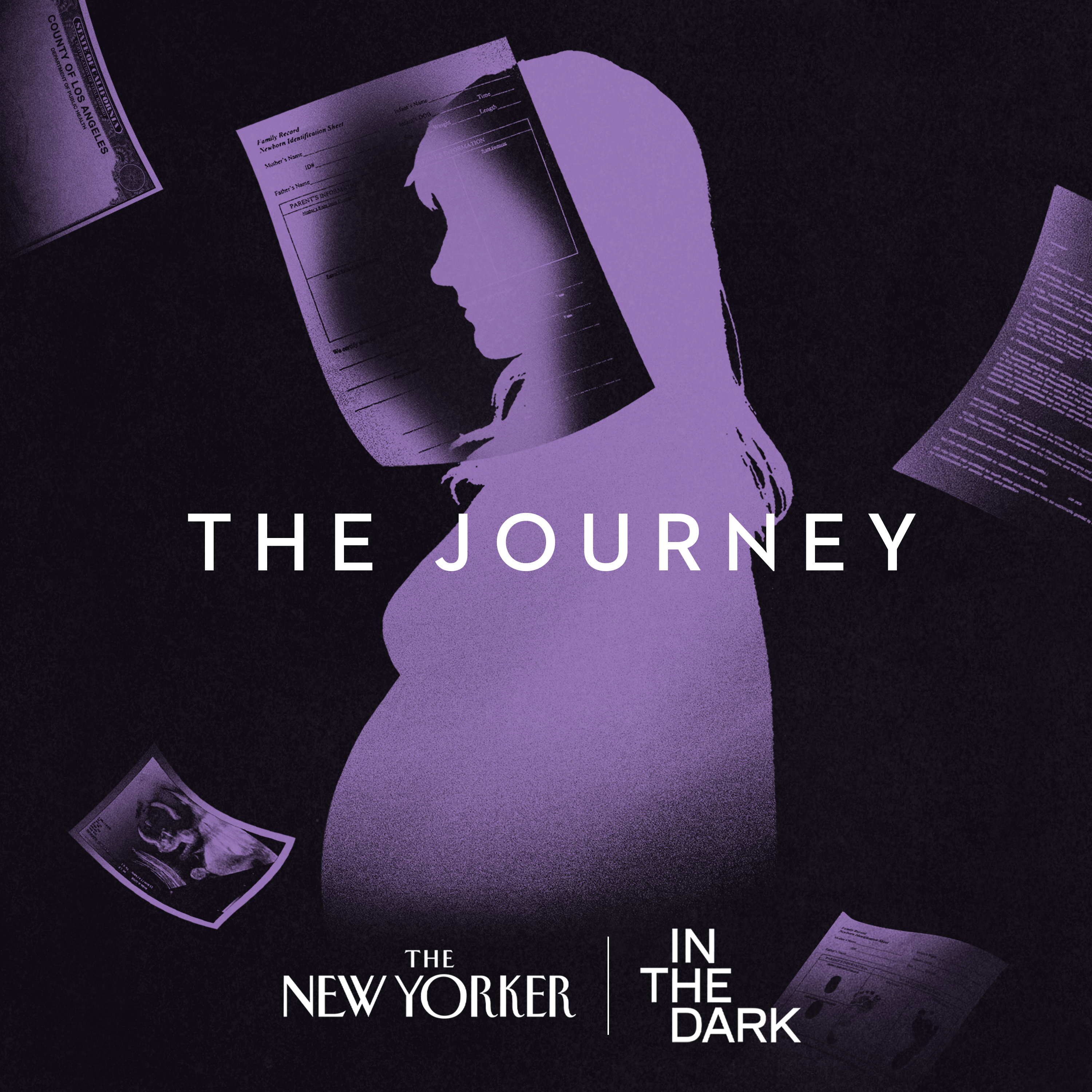 Introducing: "The Journey," from In The Dark