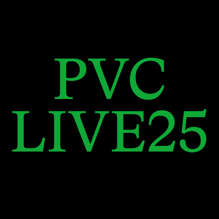 PVC: i migliori dischi del 2025 (live da Rhizome)