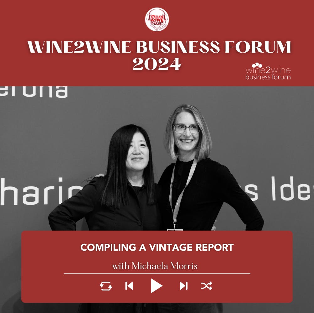 Ep 2332 Compiling a Vintage Report with Michaela Morris DipWSET, IWE | wine2wine Business Forum 2024